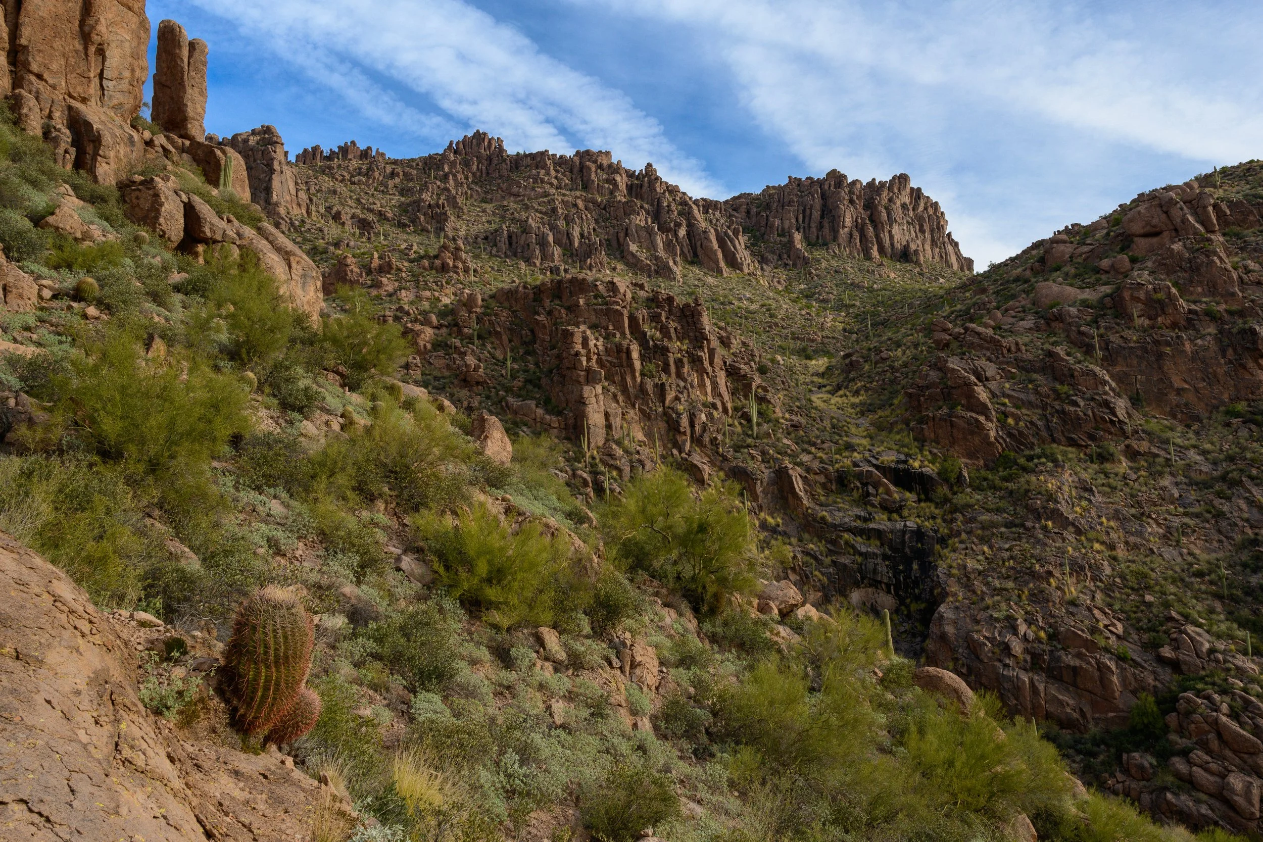 Superstitions  Wilderness, Arizona