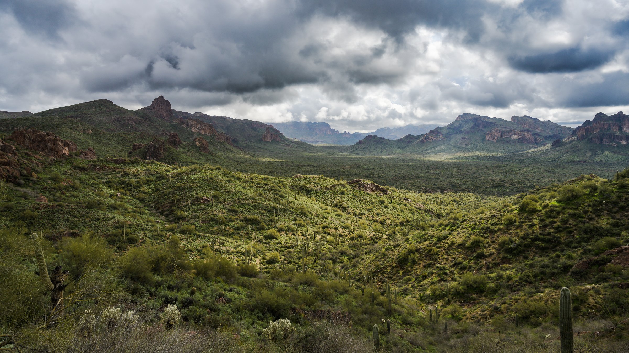 Superstitions Wilderness, Arizona