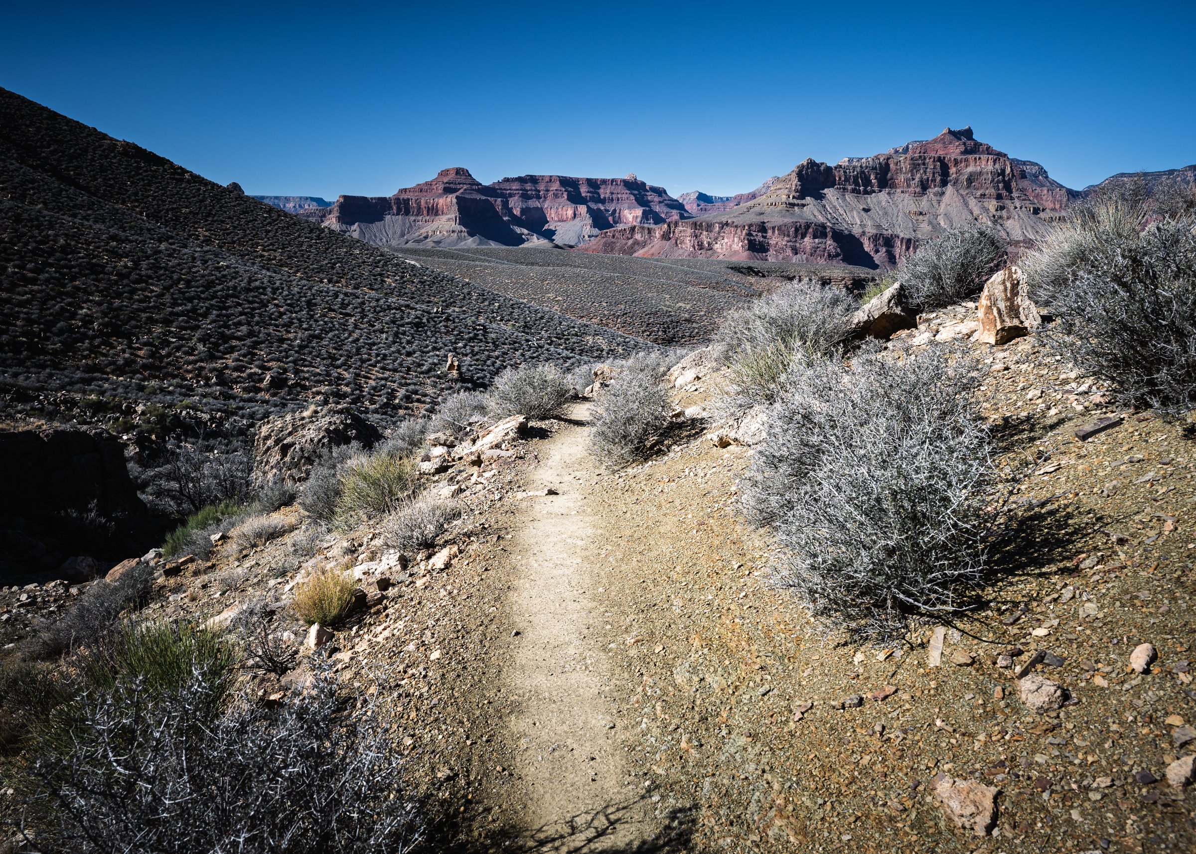 Grand Canyon National Park, Arizona, Tonto Trail, January, 2026