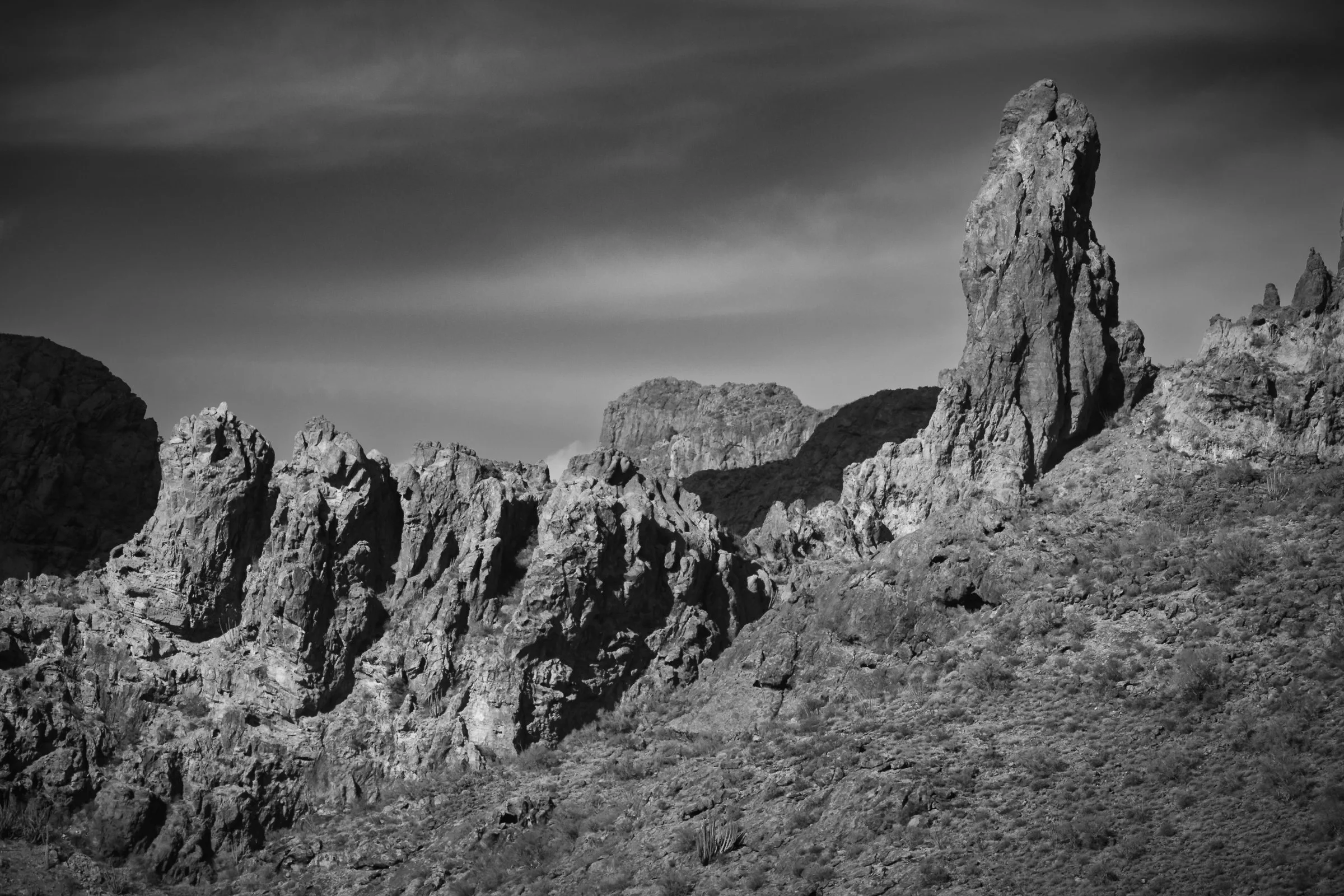 Organ Pipe Cactus National Monument, Arizona