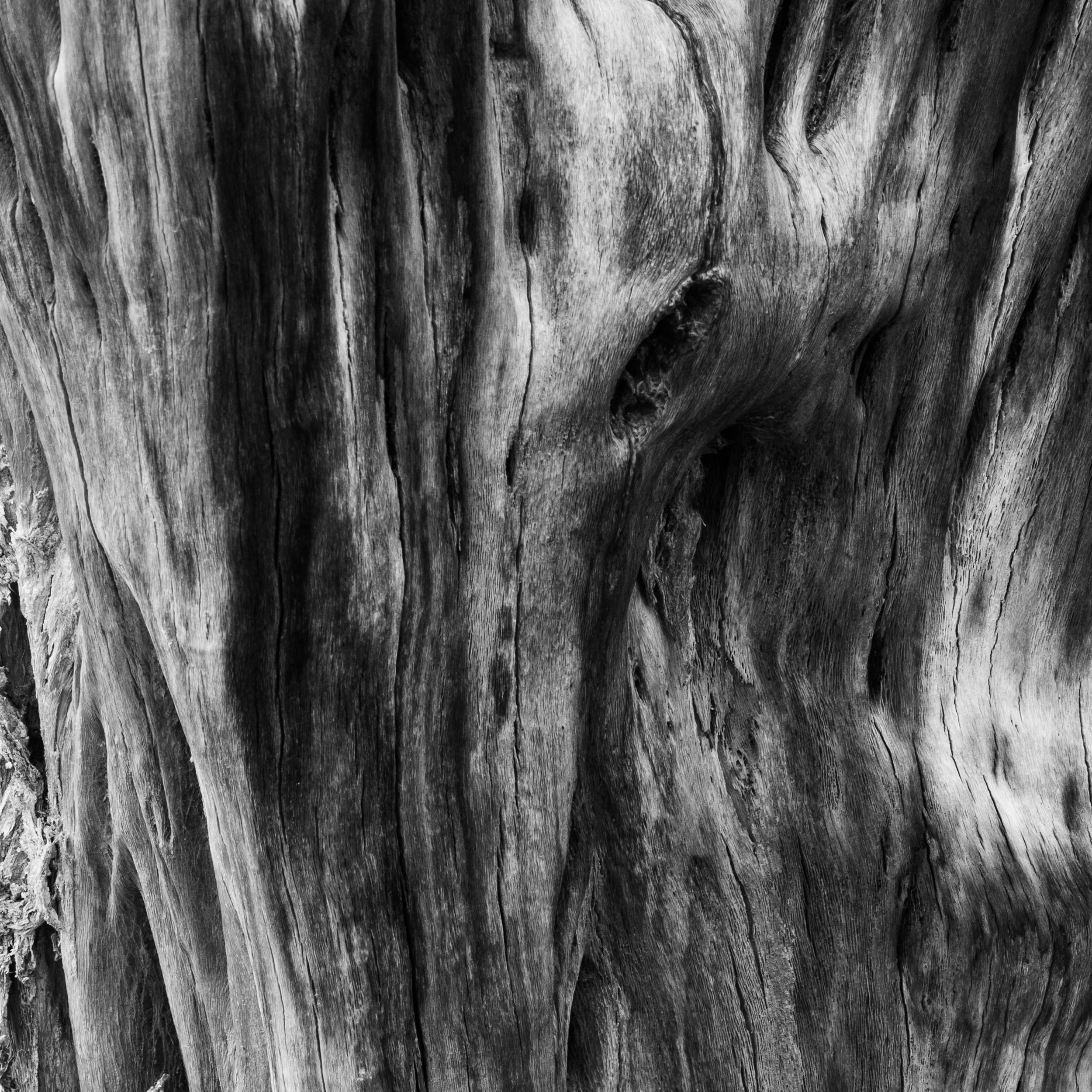 Superstition Wilderness, Arizona