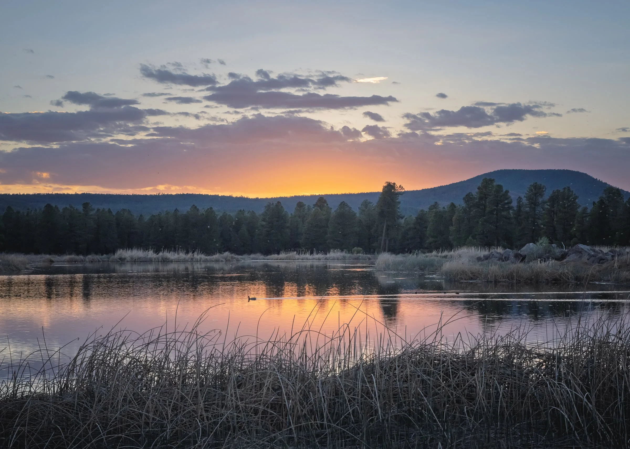 Flagstaff, Arizona