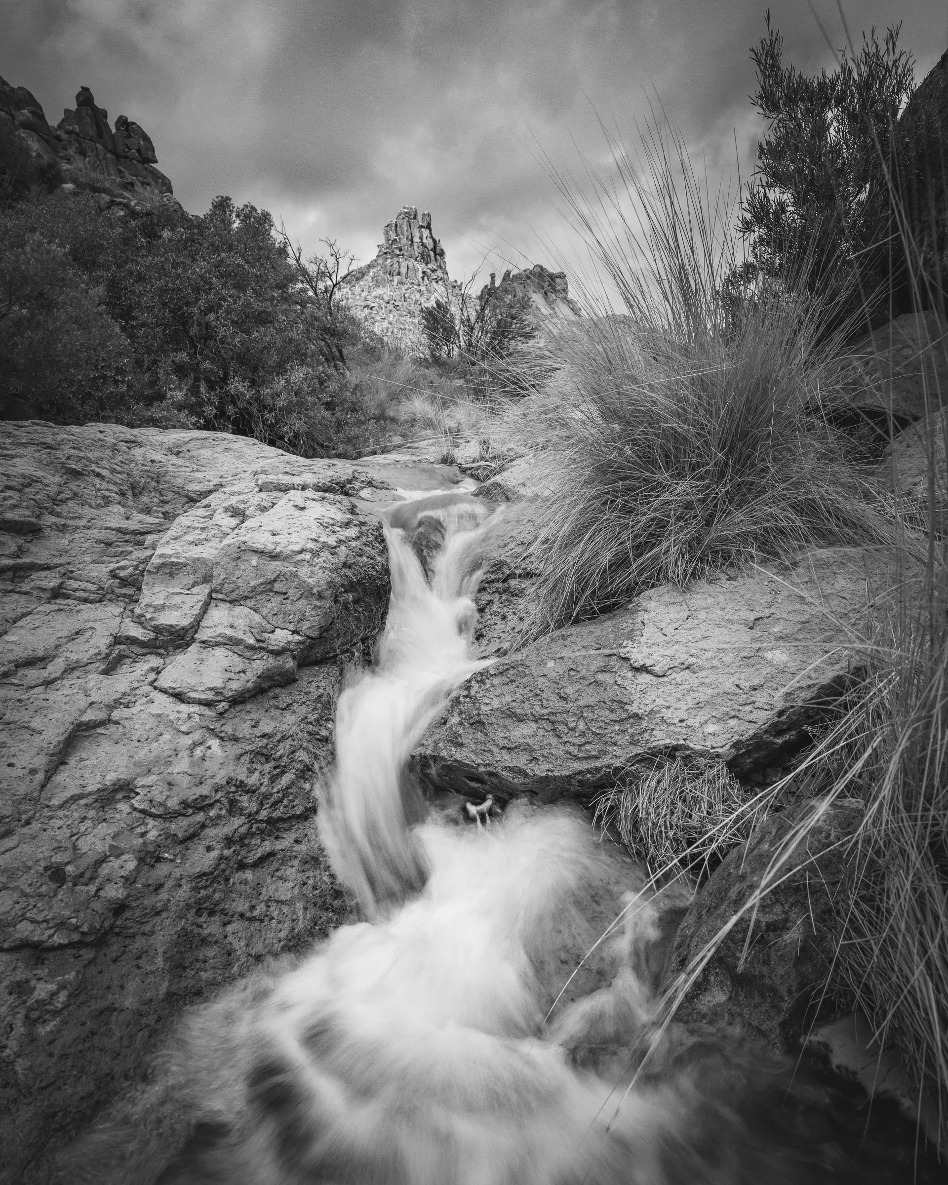 Superstition Wilderness, Arizona