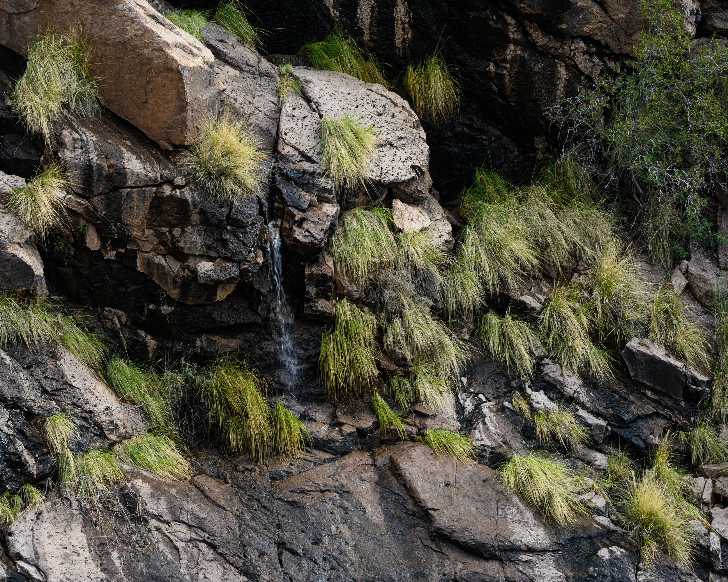 Superstition Wilderness, Arizona