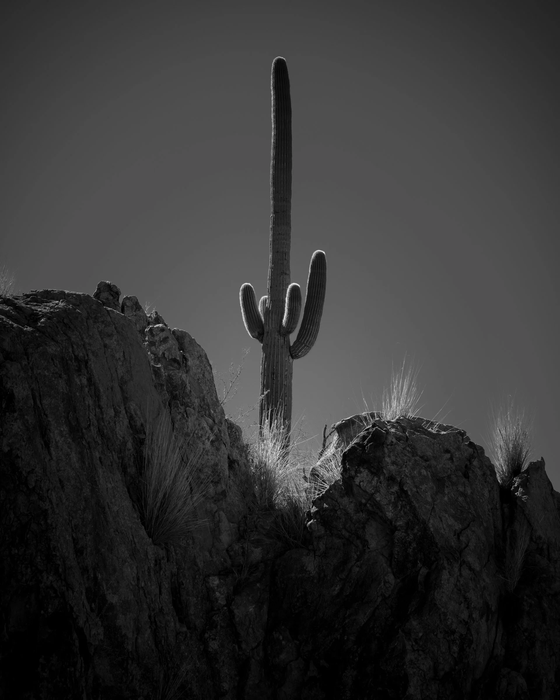 Romero Canyon, Arizona