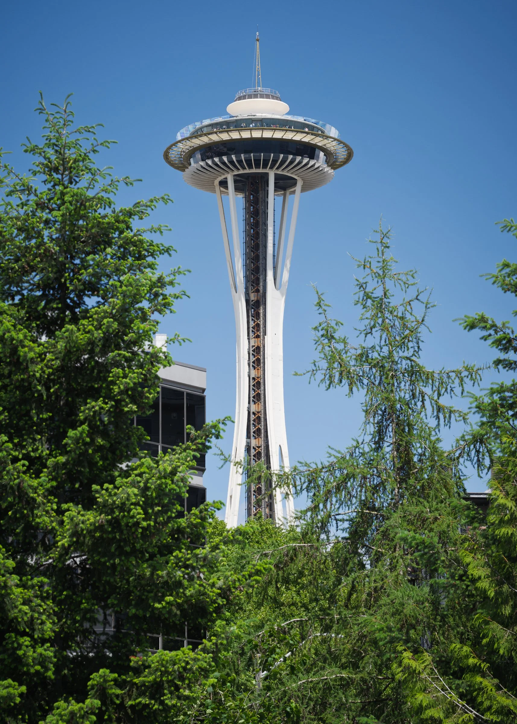 The Space Needle, Seattle Washington