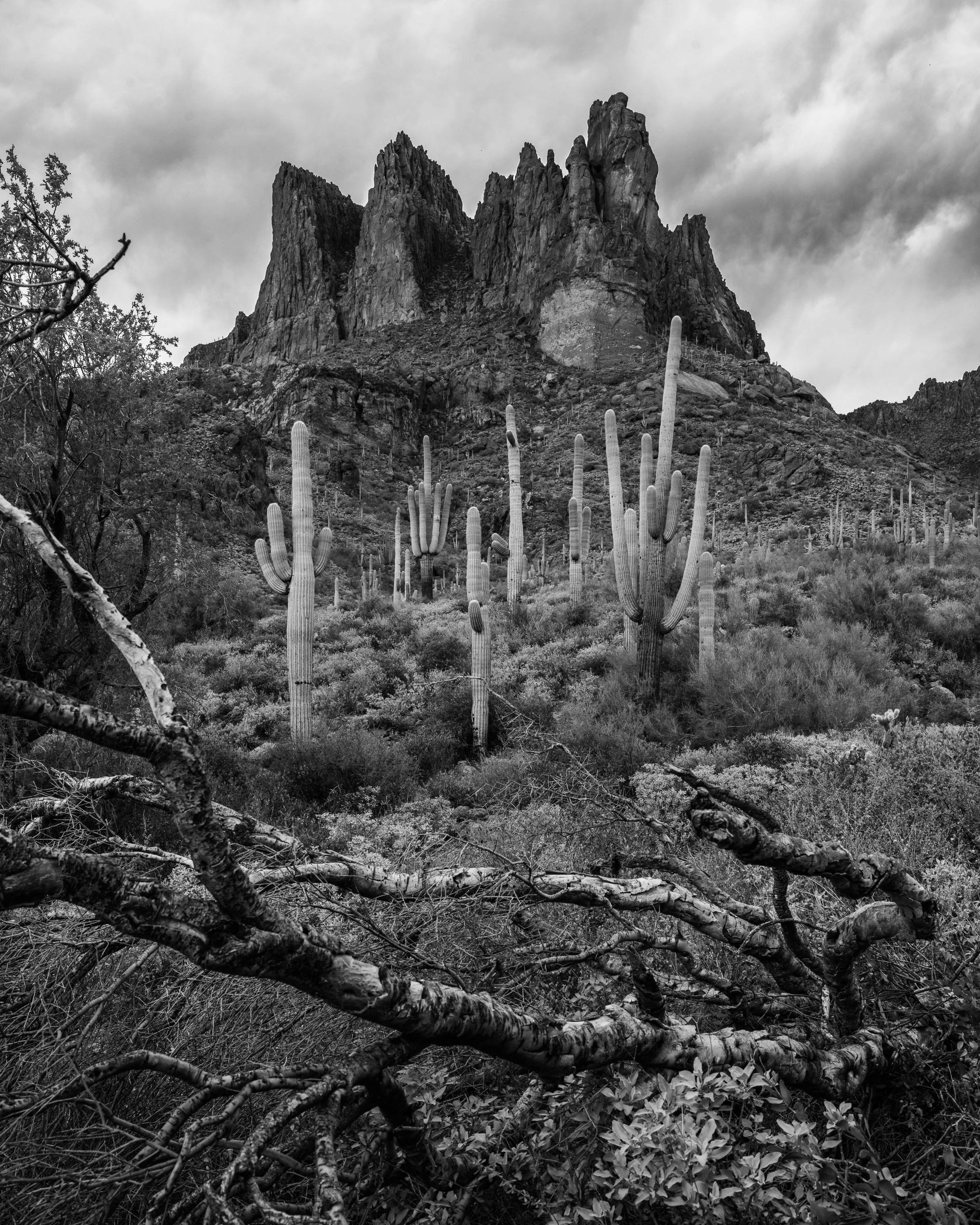 Superstition Wilderness, Arizona