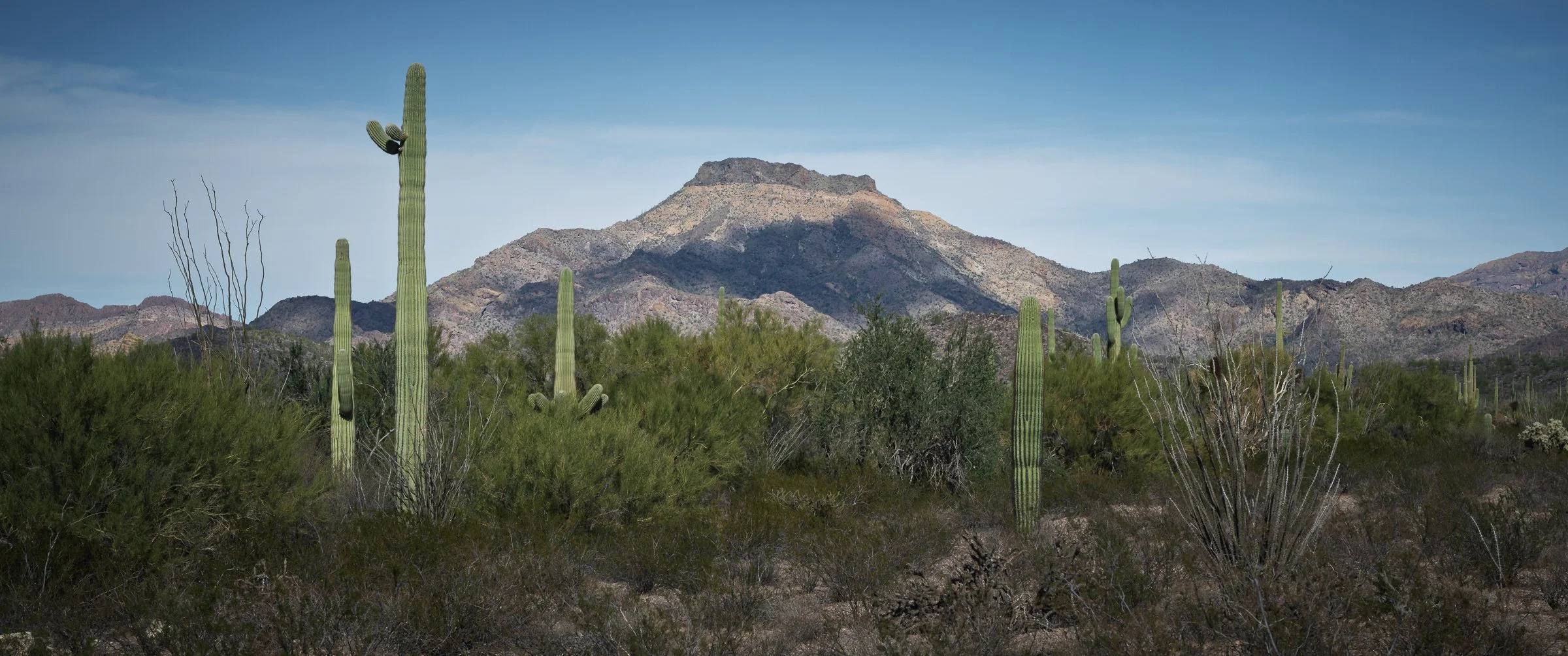 Organ Pipe Cactus National Monument, Arizona