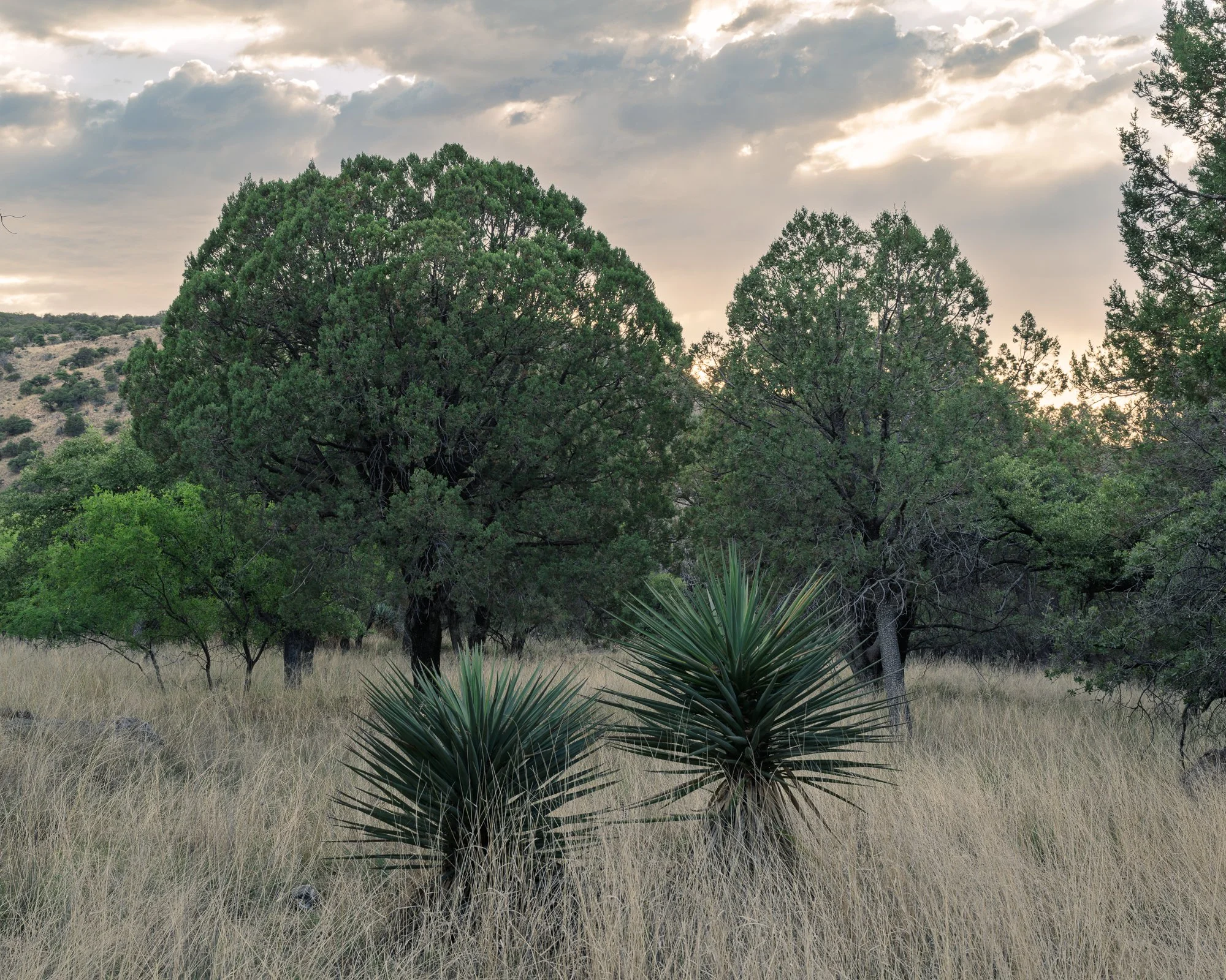 _DSC2825-HDR.jpg