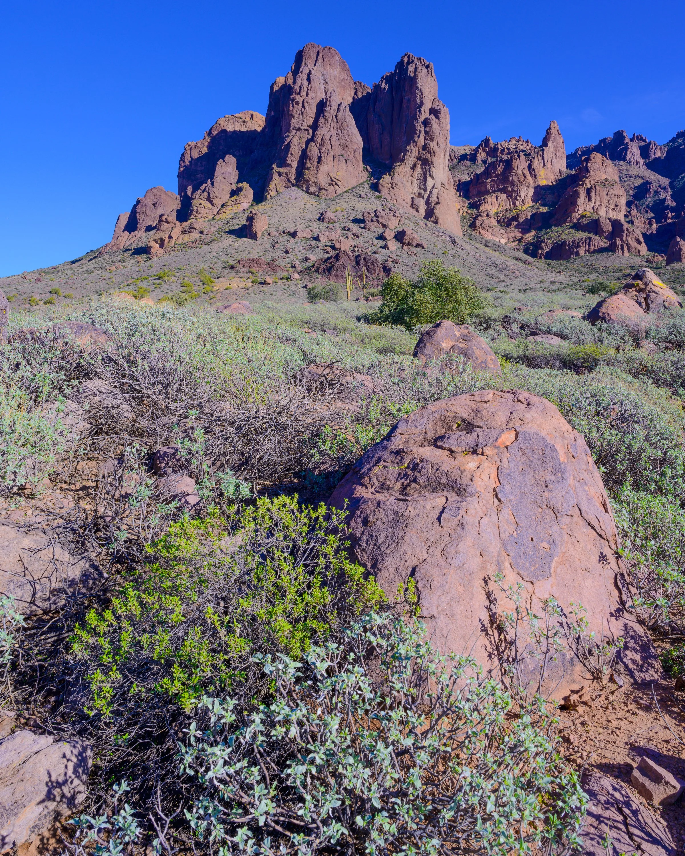 Superstition Wilderness, Arizona, Desert landscape with large rock formations, sparse green bushes, and desert plants under a clear blue sky.