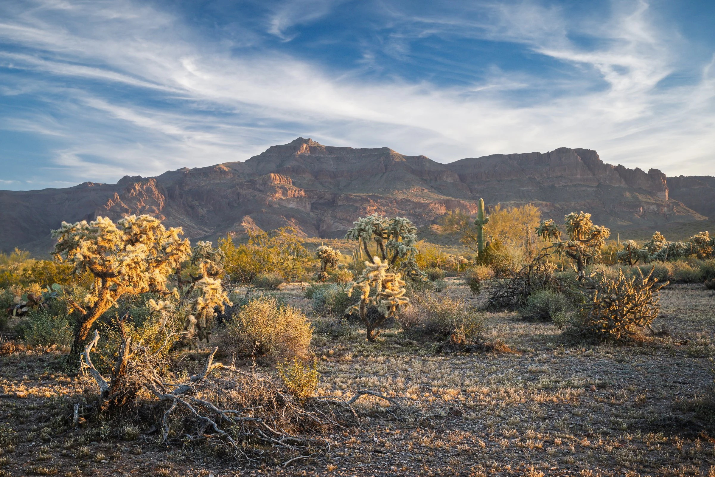 Peralta Trail, Superstition Wilderness, Arizona