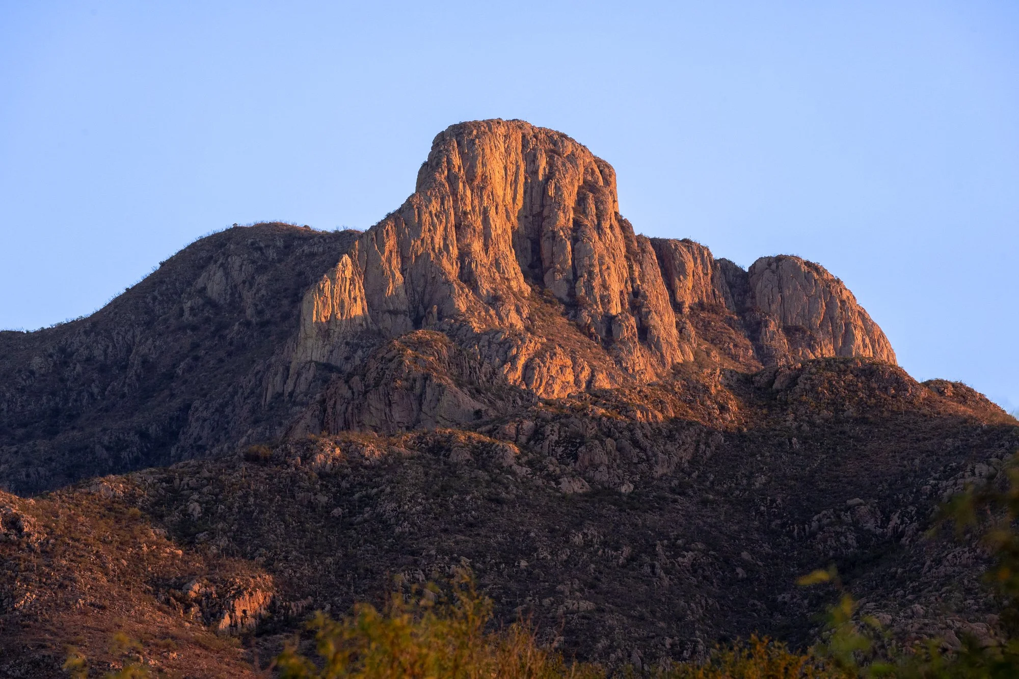 _DSC6886.jpg