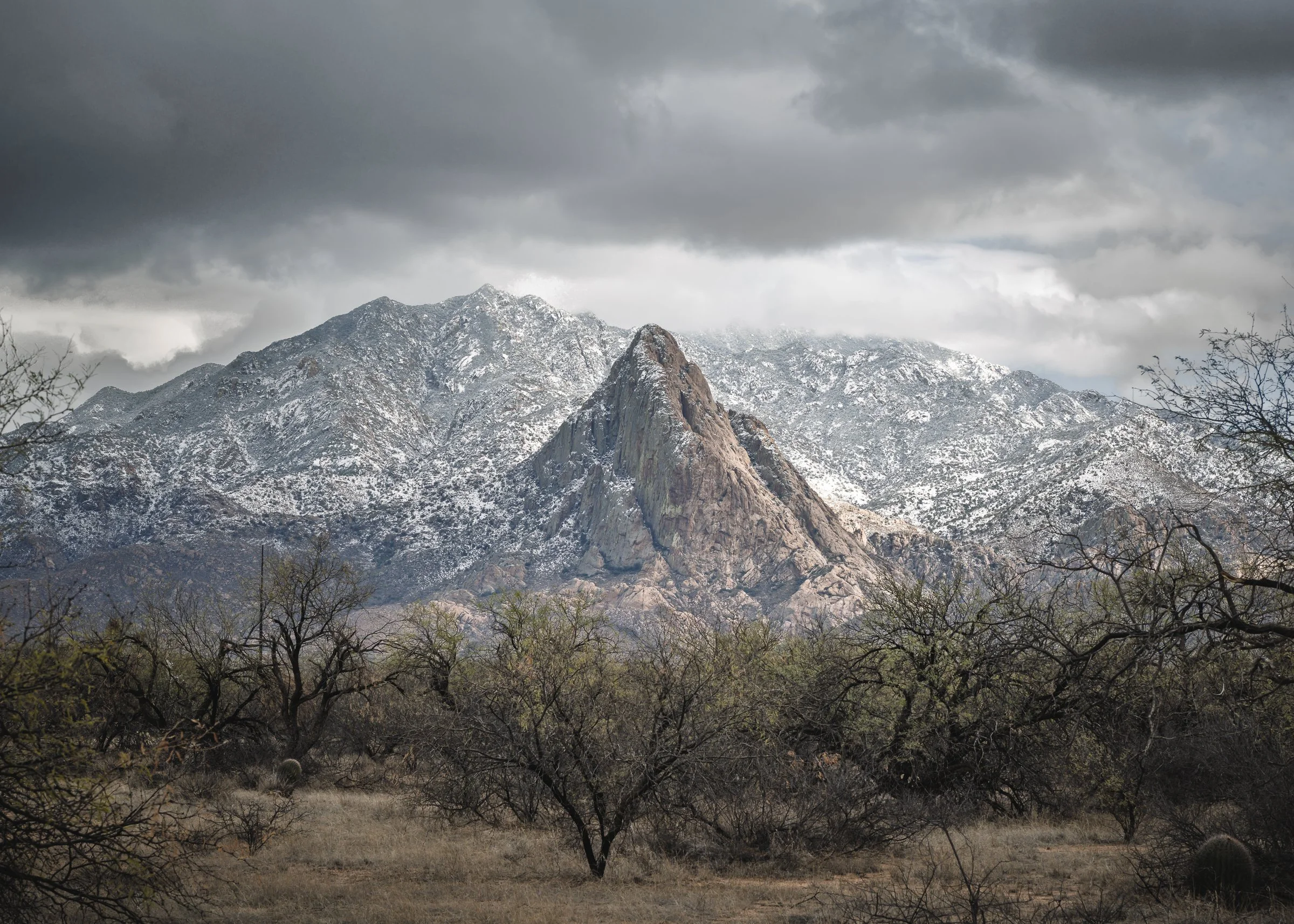 Elephant Head, Arizona