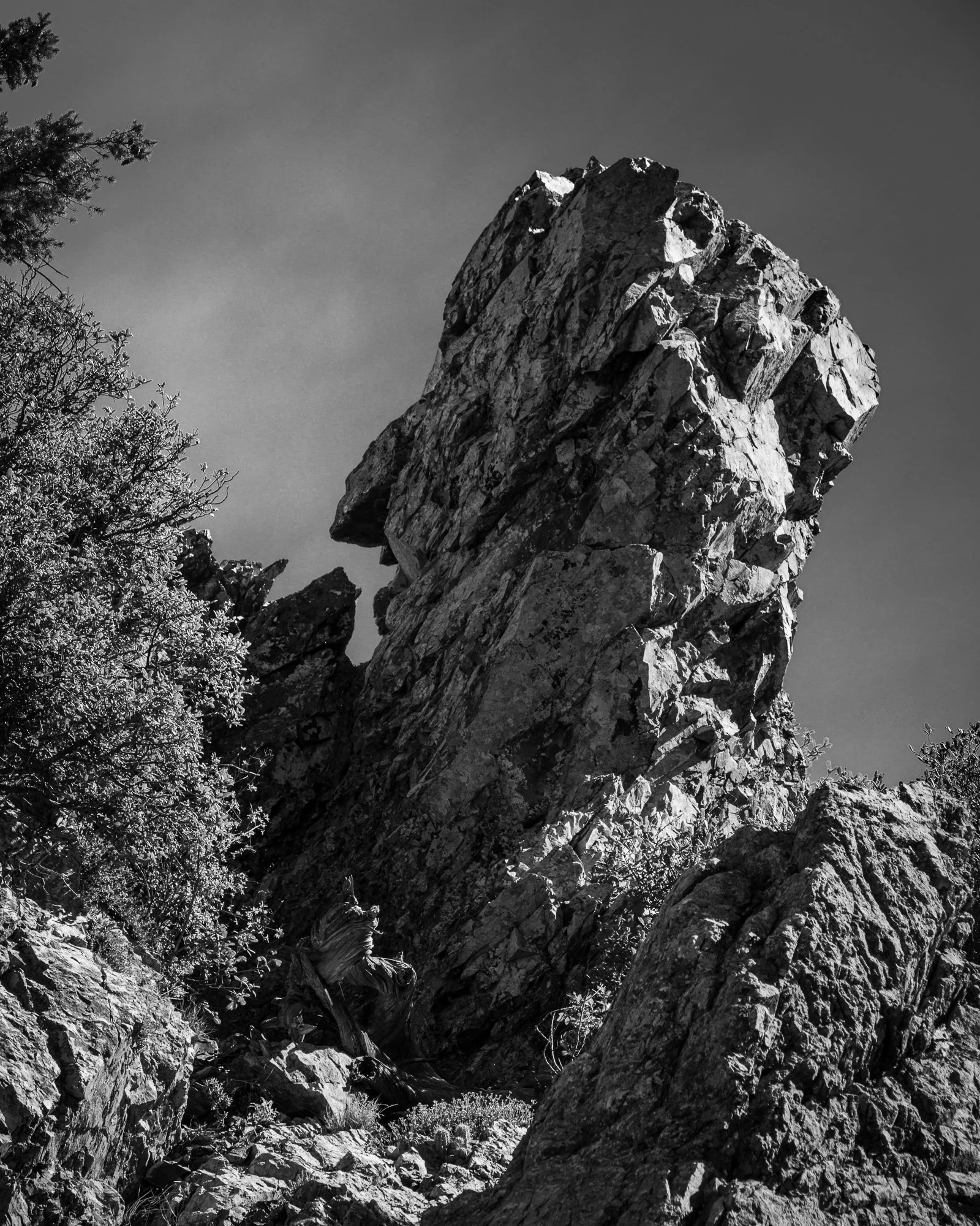 Thumb at Baldy Saddle.jpg