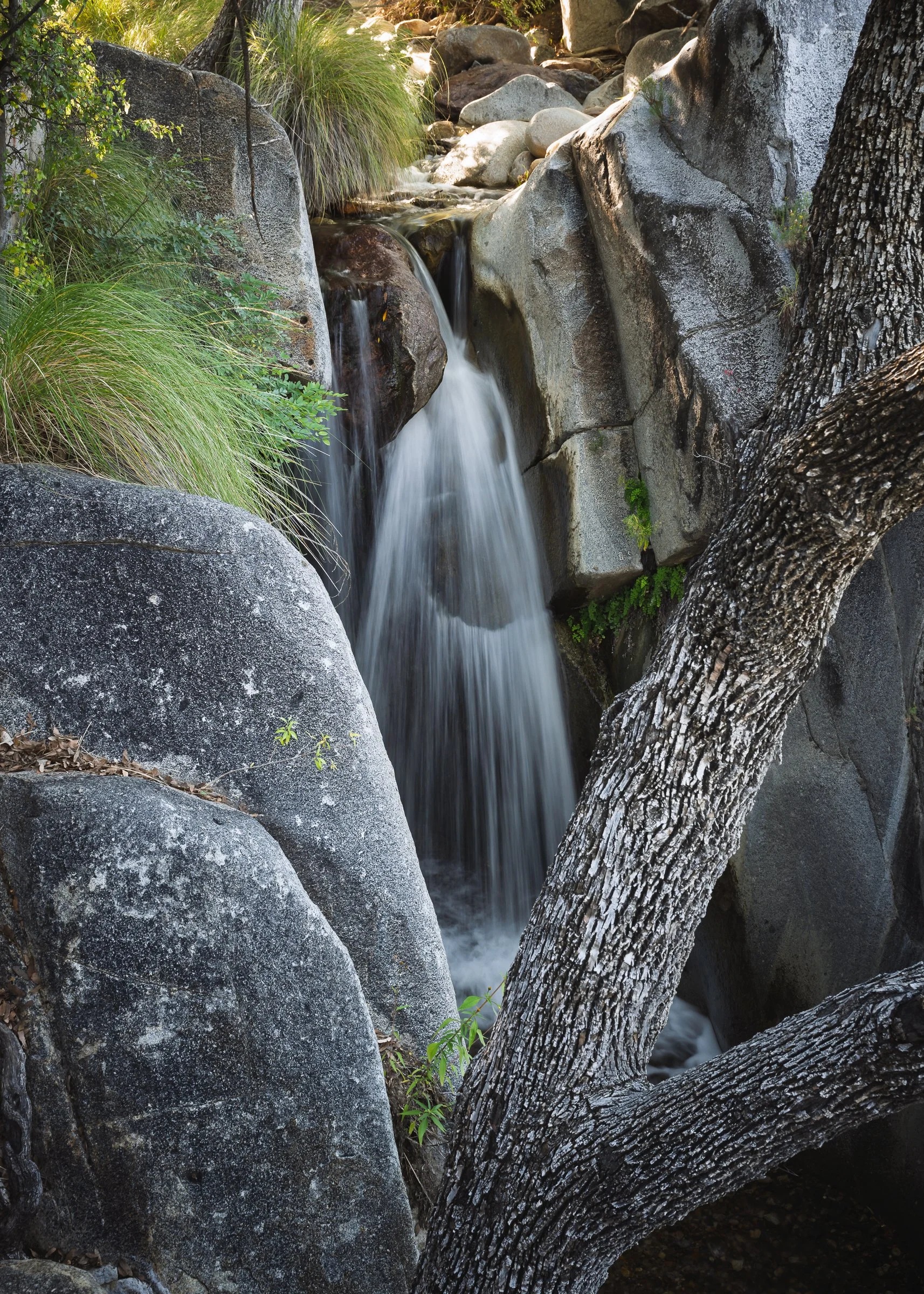 Madera Canyon, Arizona