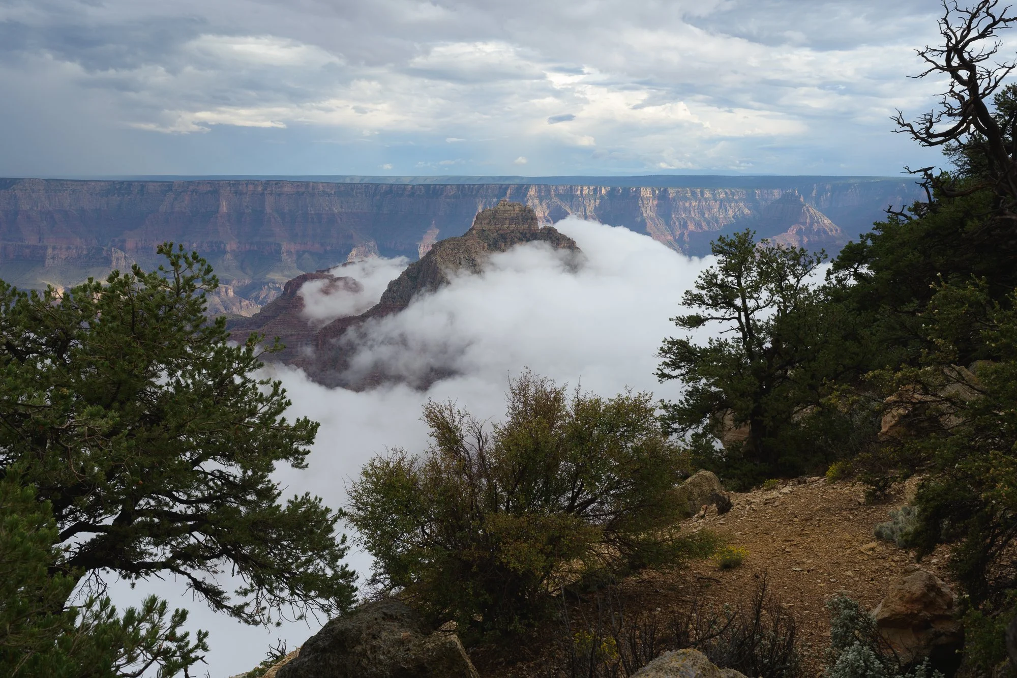 Moody Weather, Grand Canyon National Park, Arizona