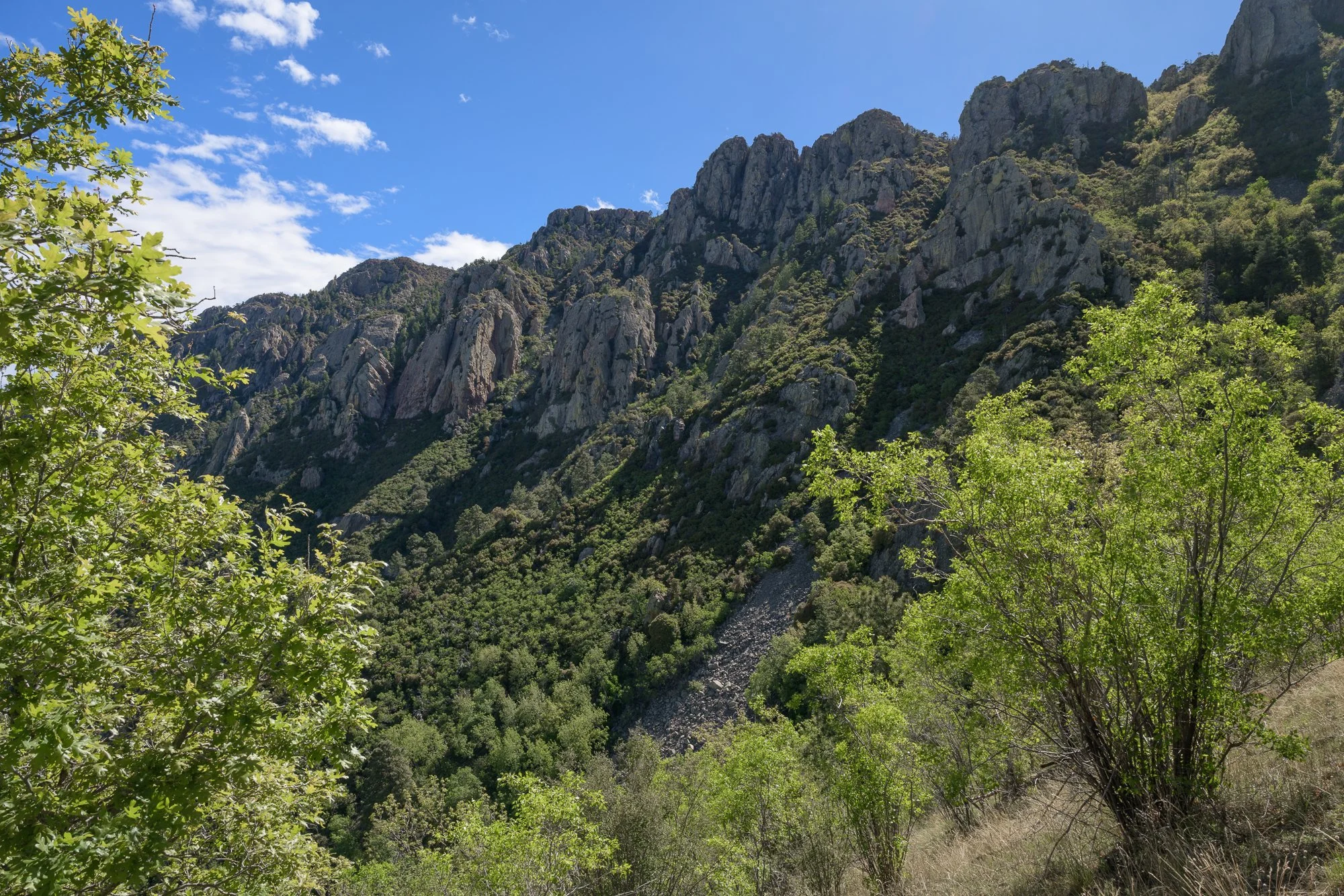 _DSC3204.jpg