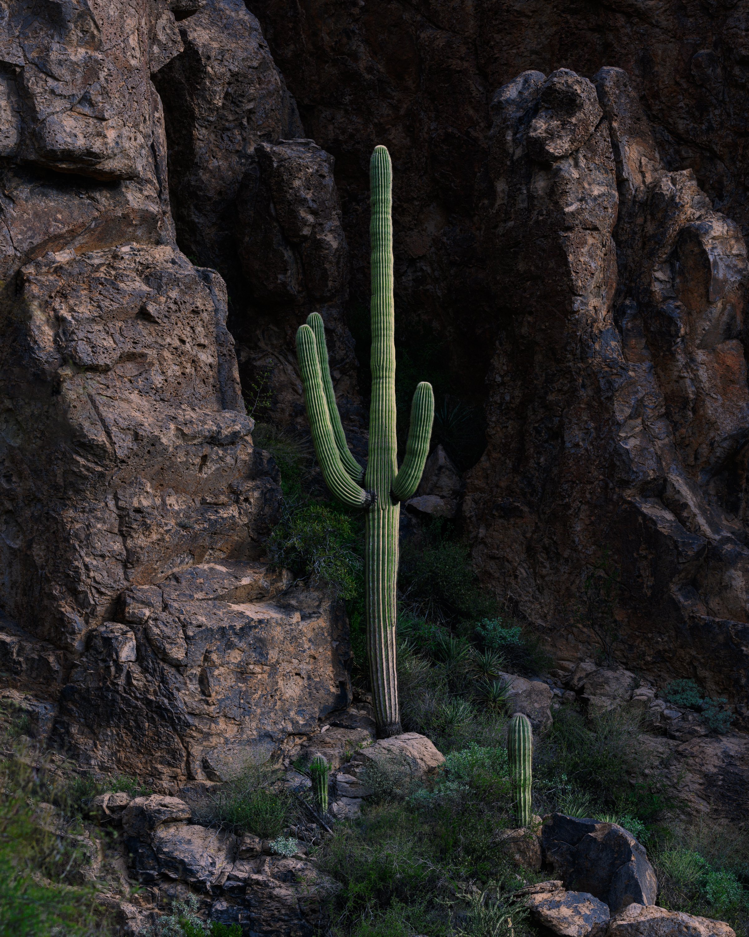Superstition Wilderness, Arizona