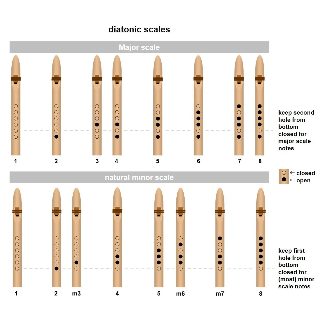 scales - diatonic (diatonic flute).jpg