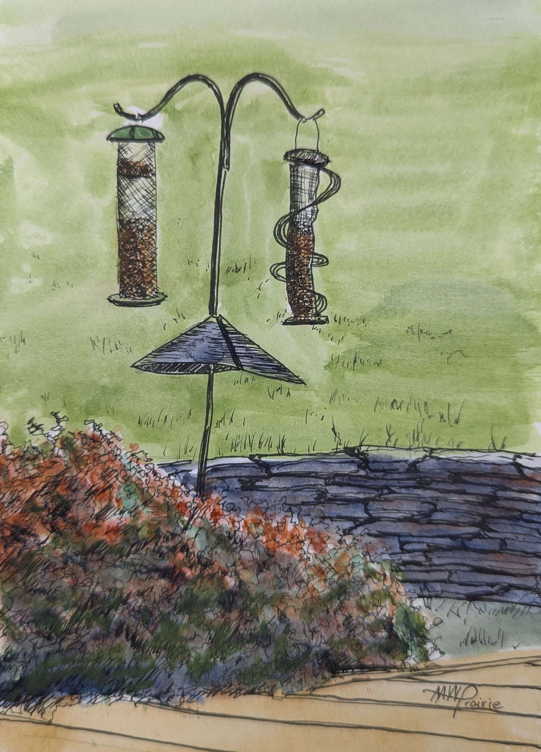 Bird Feeders (Pen & Watercolor)