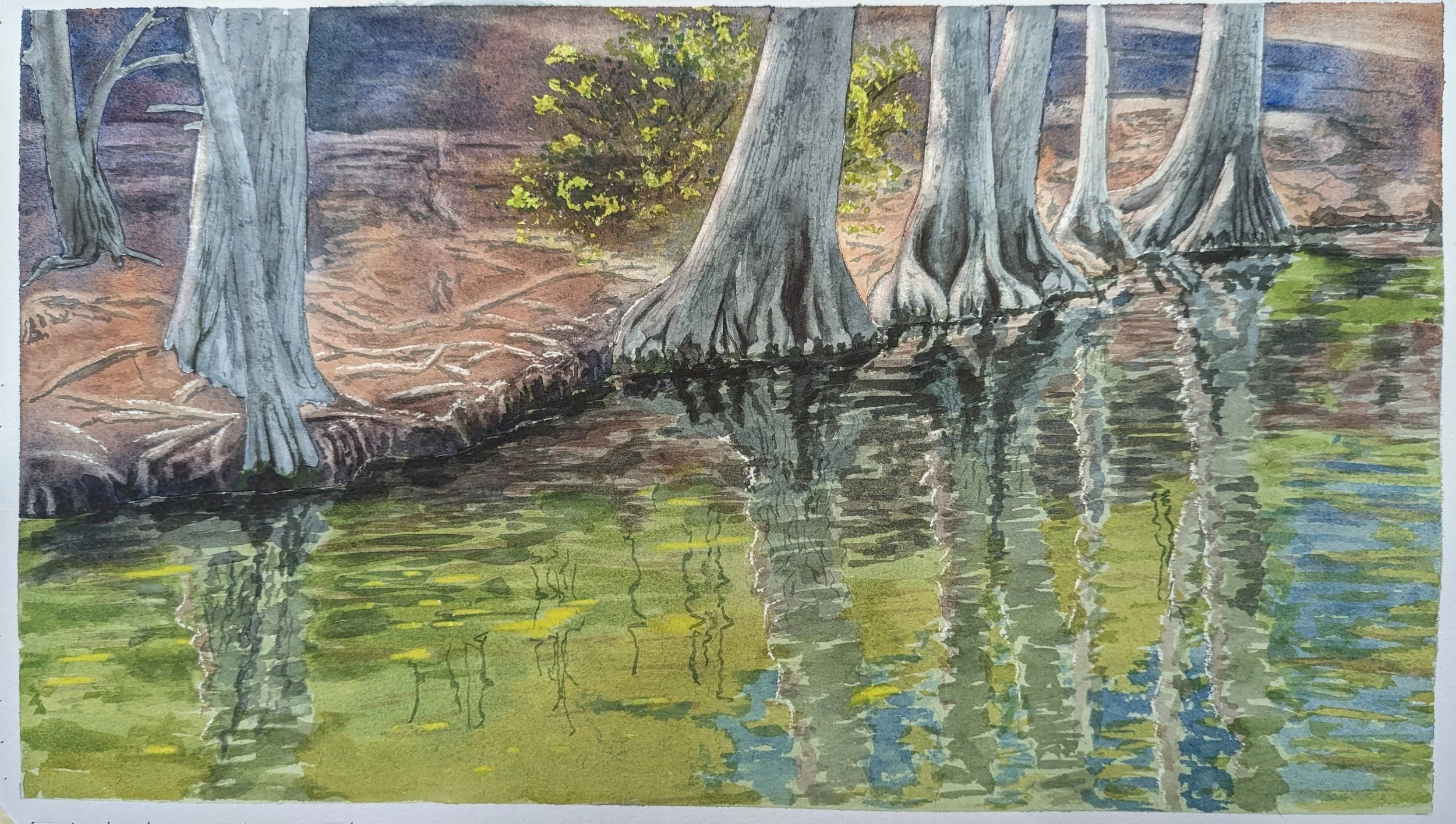 Cypress Reflections.jpg