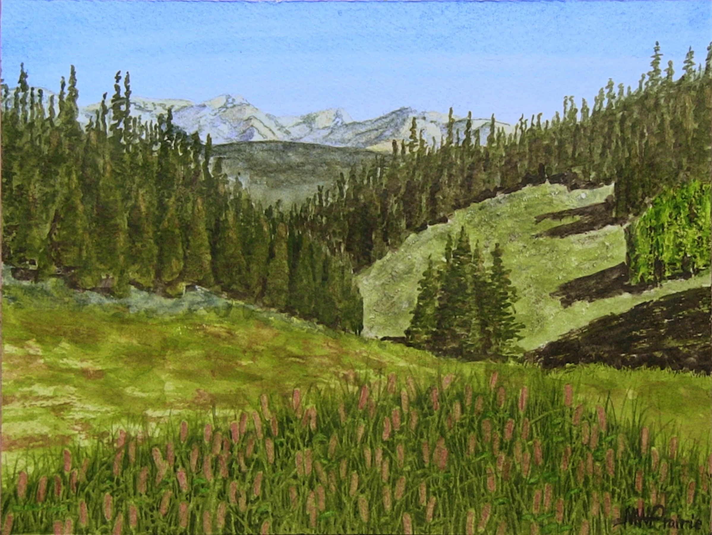 Wyoming Range 8x6.jpg