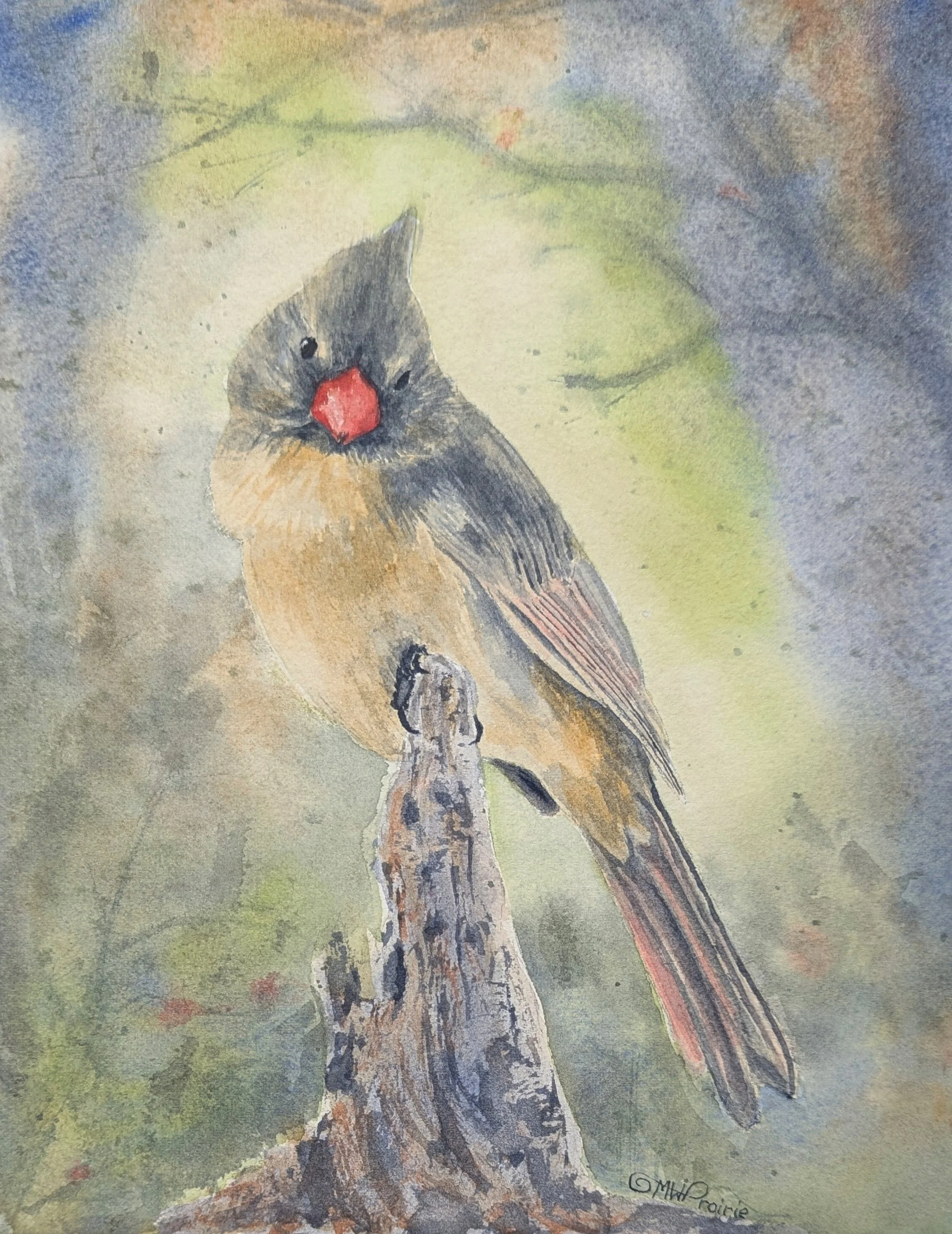 Respite on a weary roost.jpg