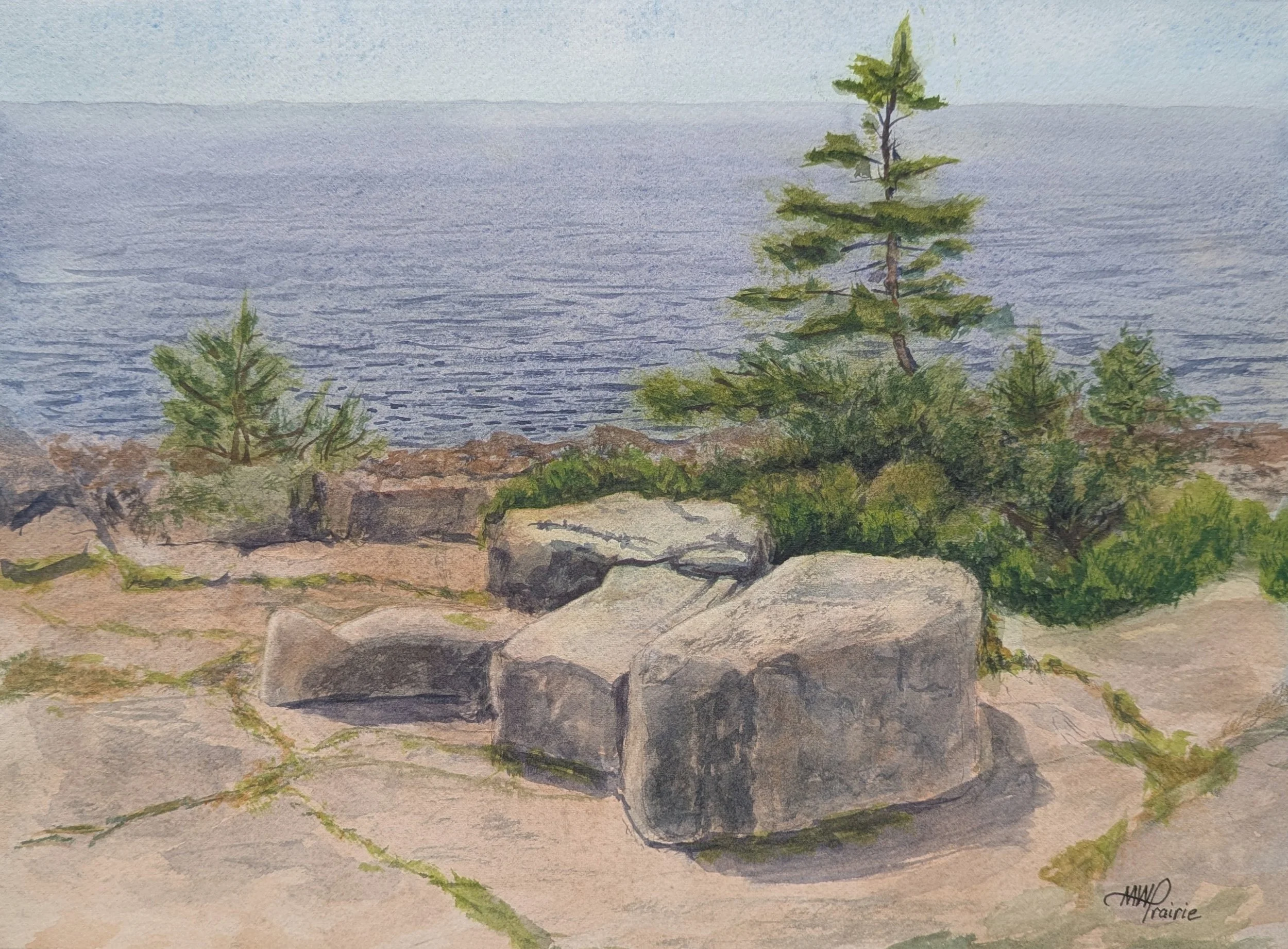 Schoodic Point Rocks - Original Framed Watercolor