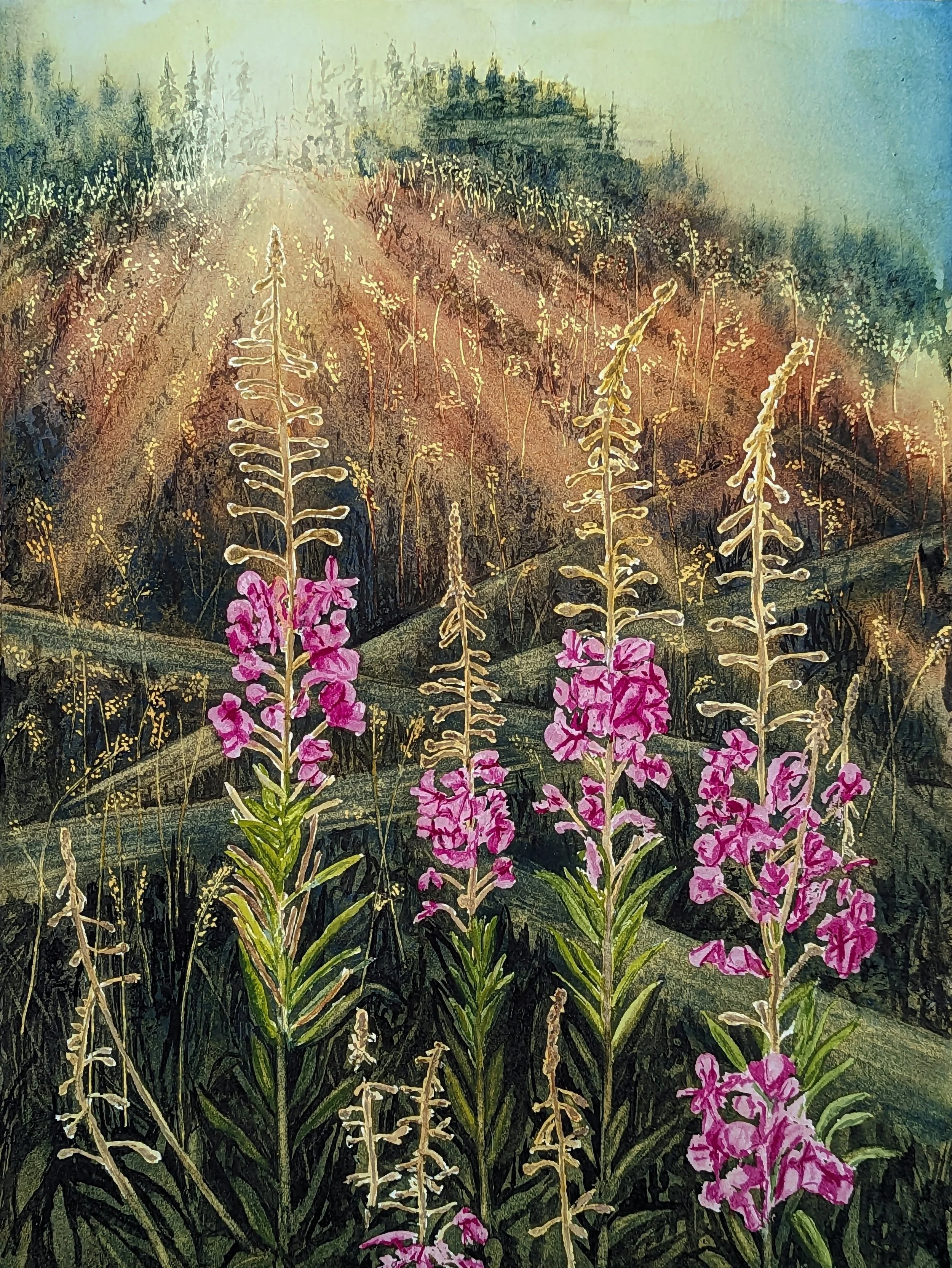 Fireweed.jpg