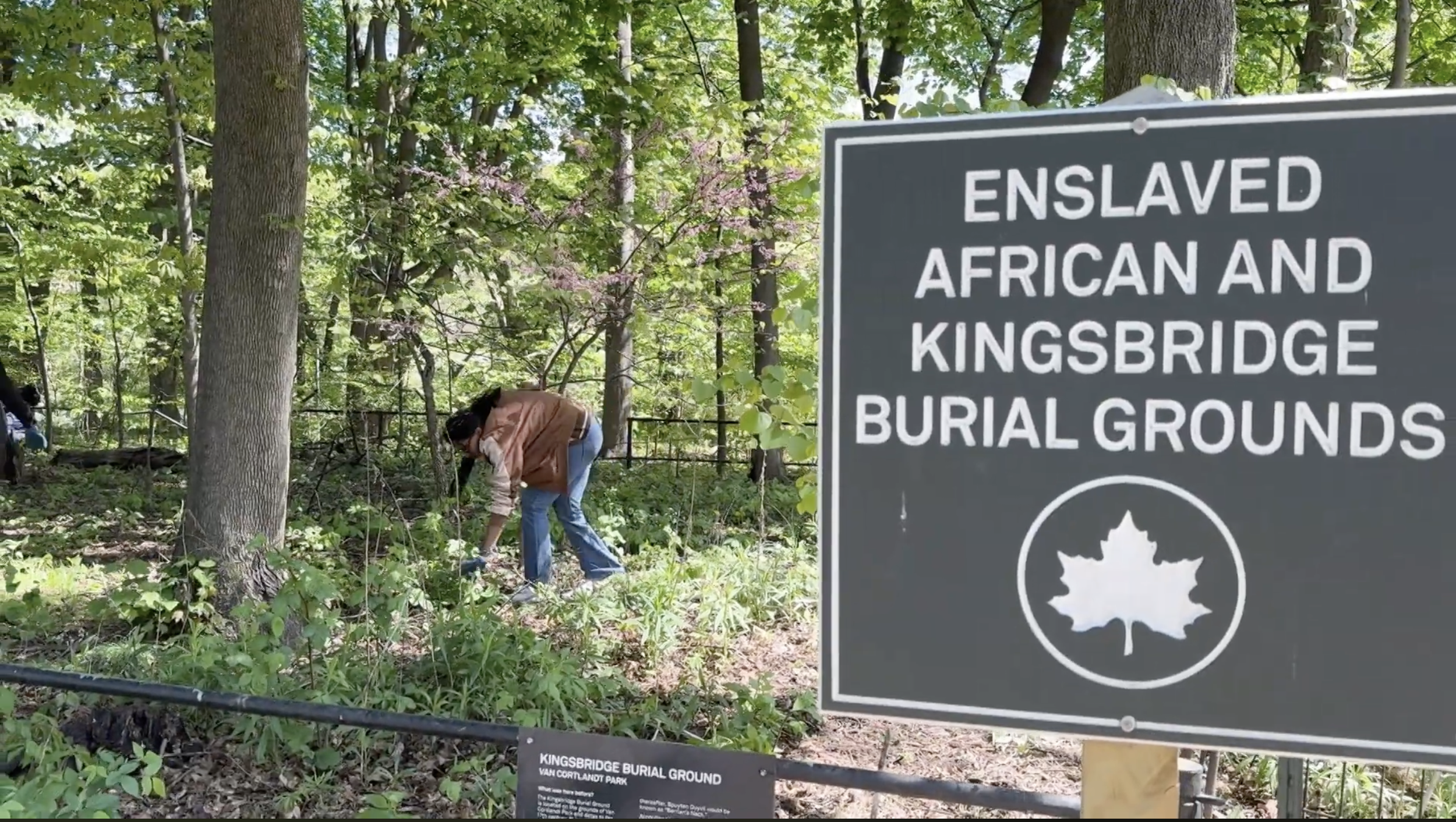 Enslaved African Burial Ground