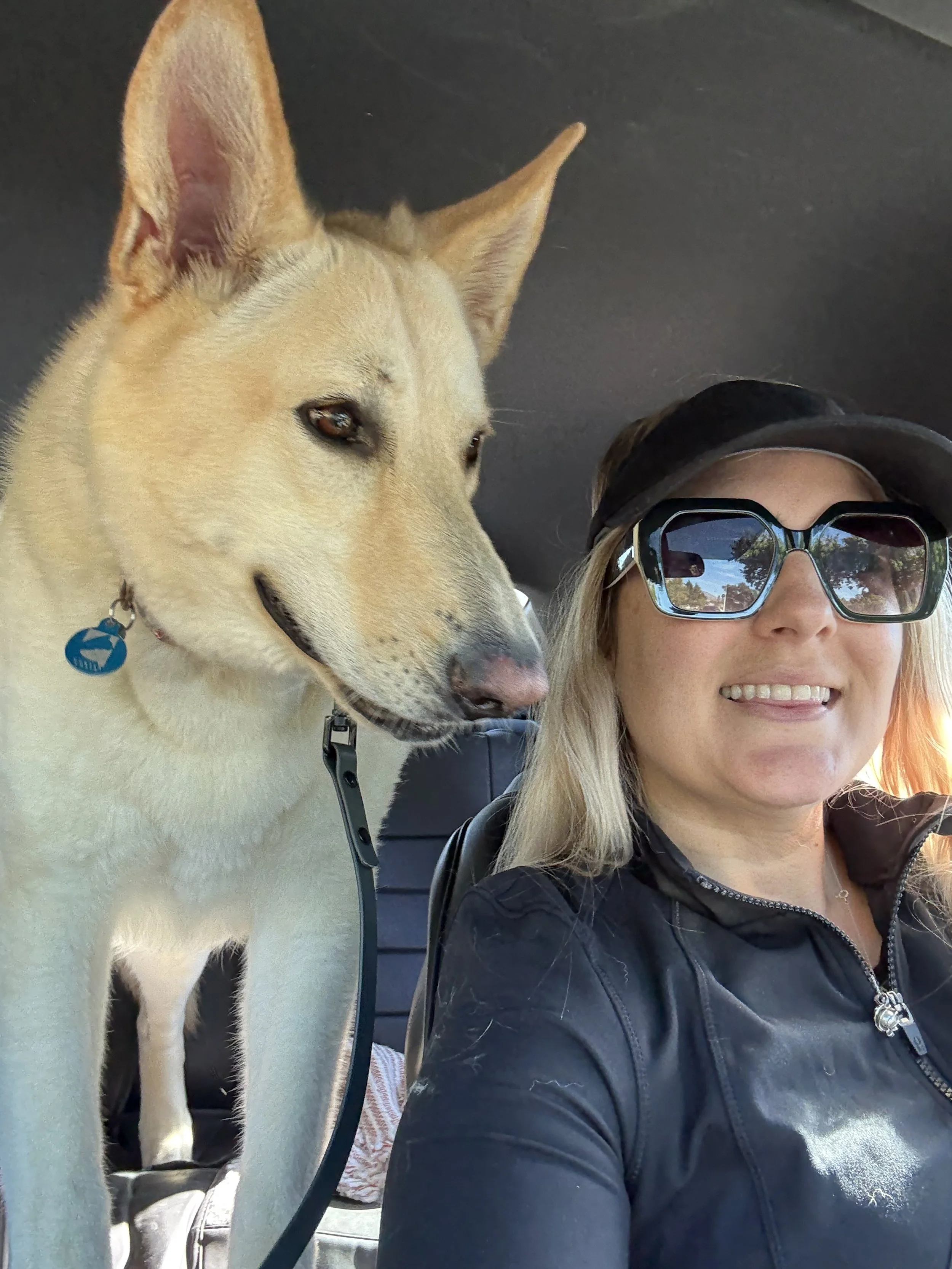A woman with blonde hair, wearing large sunglasses, a black jacket, and a black cap, smiling in a car seat next to a tan dog with pointy ears.