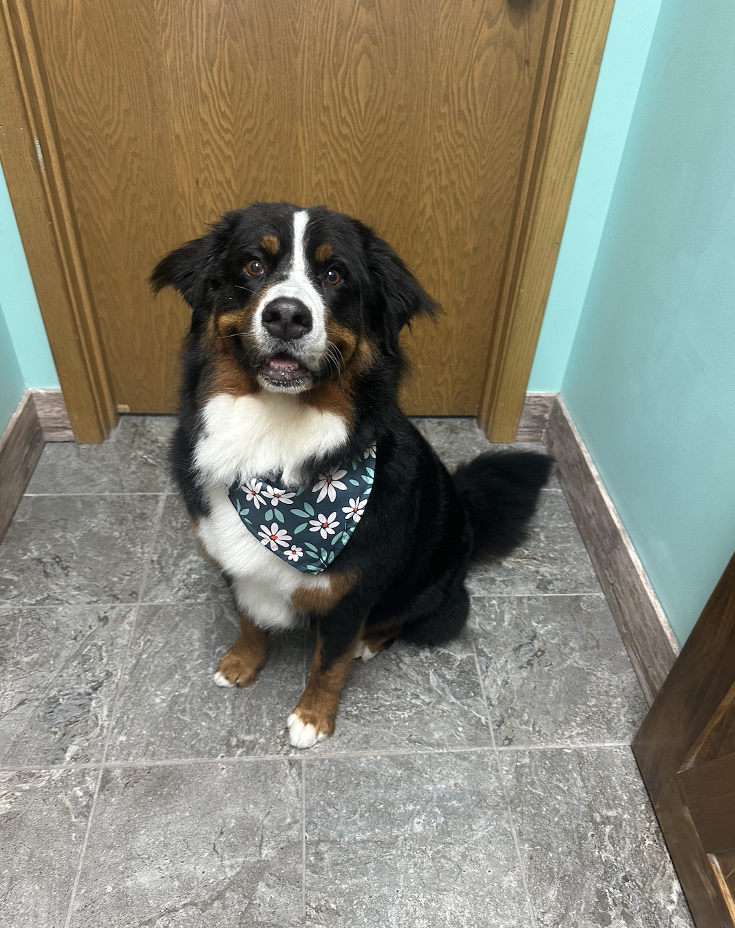 Screenshot 2025-09-16 at 4.31.27 PM.png