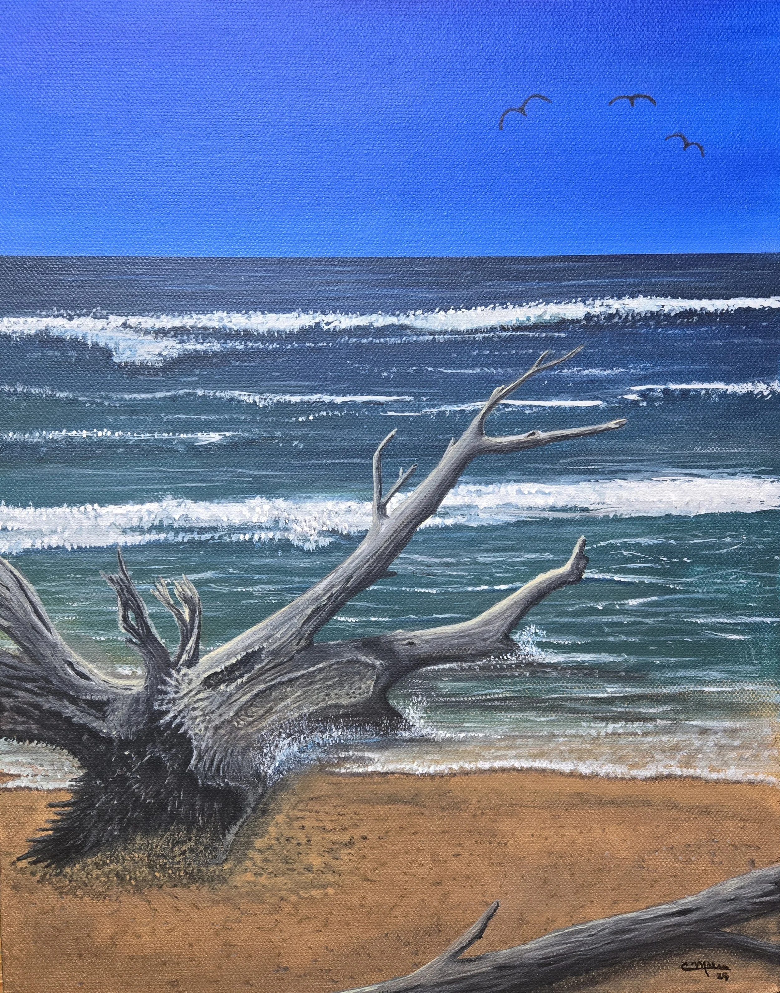 Driftwood SOLD
