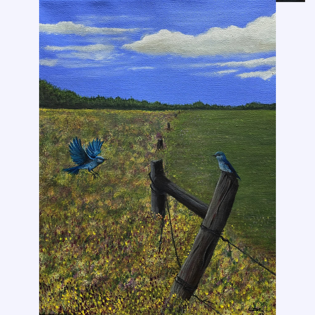 Mountain Bluebirds SOLD