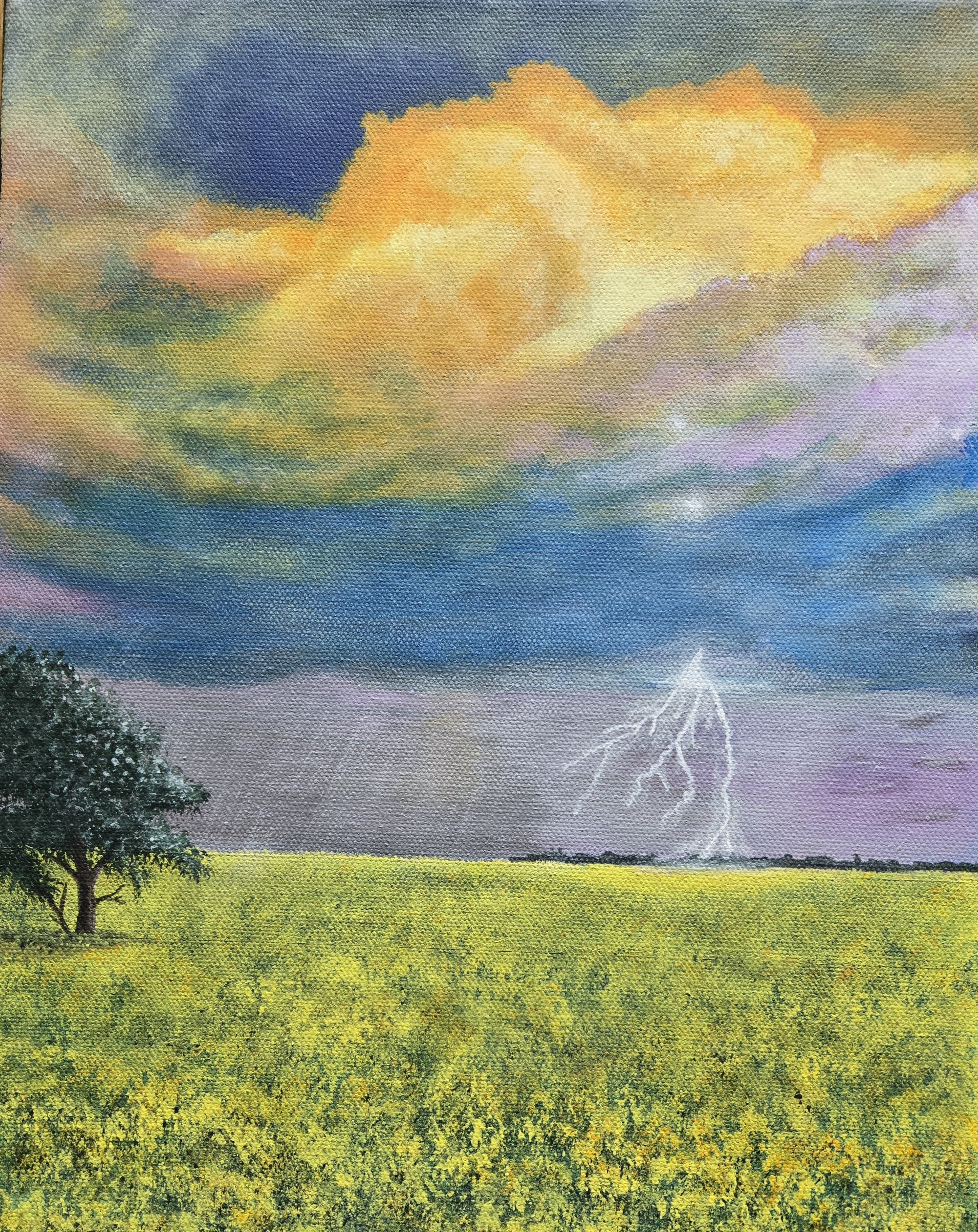 Prairie Storm SOLD