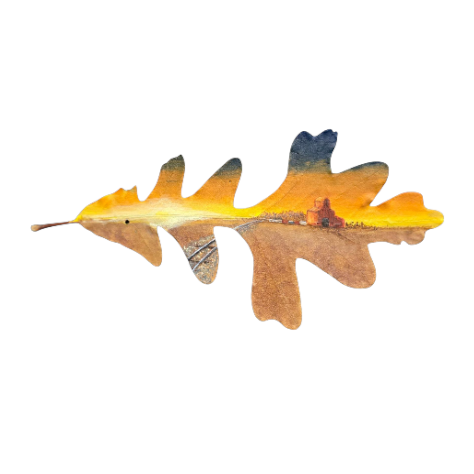 Elevated Connection SOLD