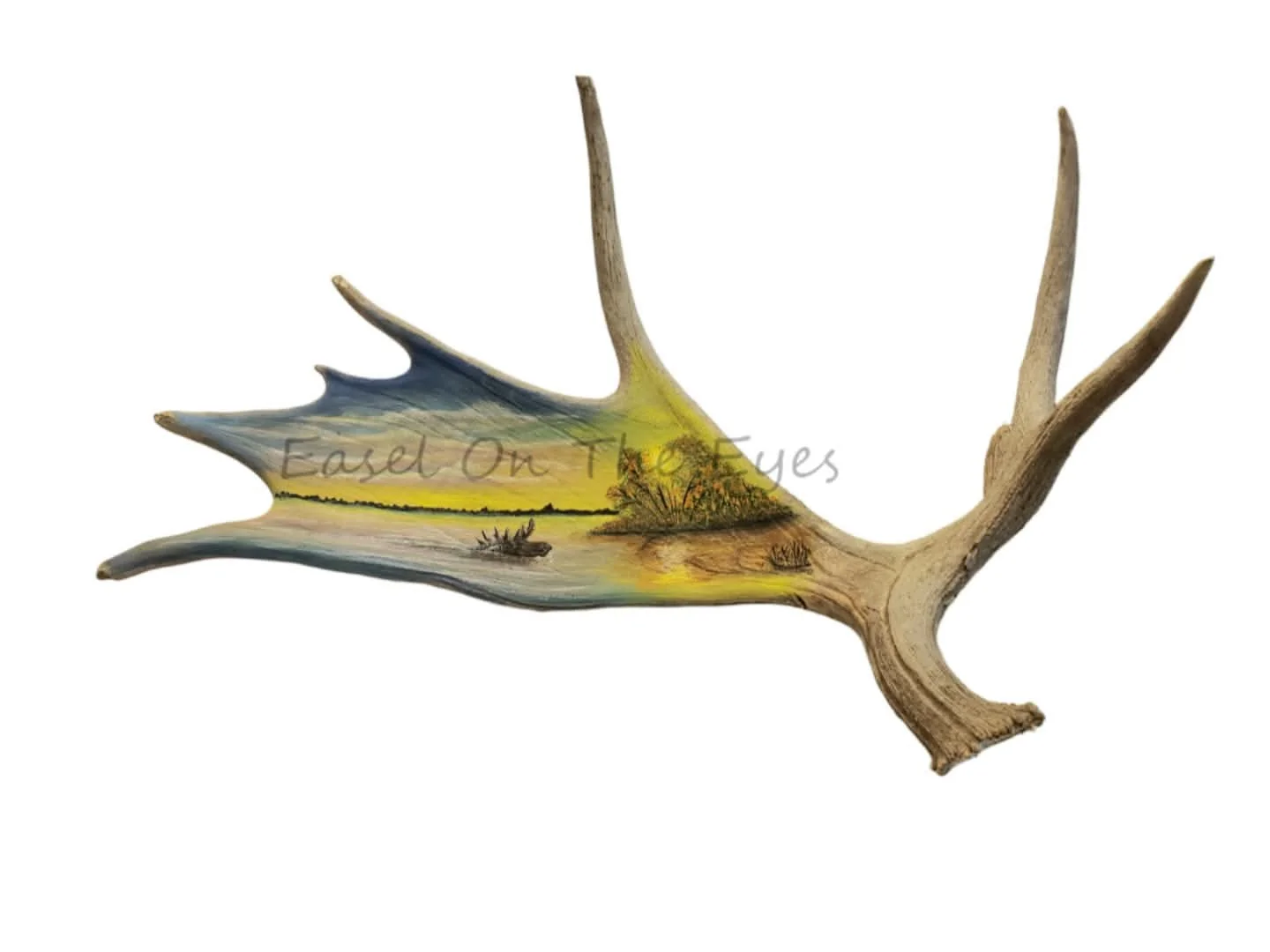 Early Morning Swim SOLD