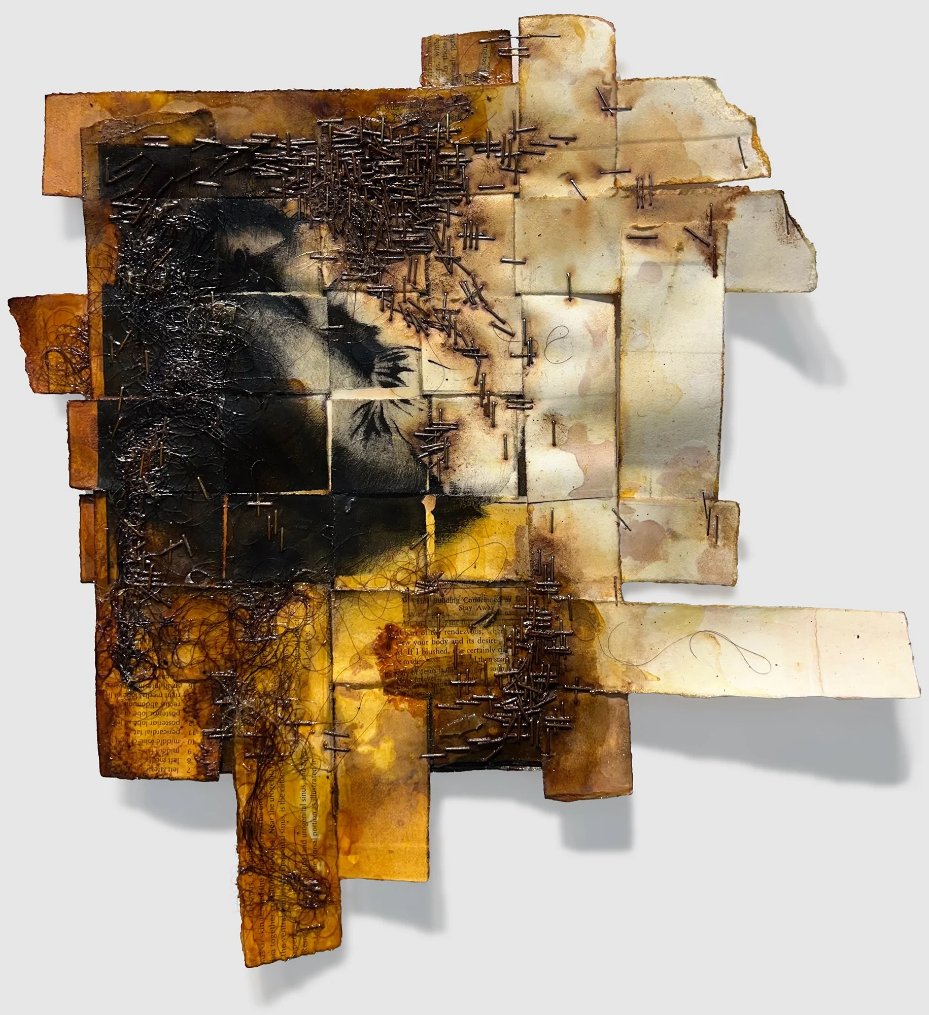 Return, drypoint on woven paper, cardboard, staples, found collage elements, artist's hair, polyurethane, shellac, 15.5" x 14" x 0.25," 2024