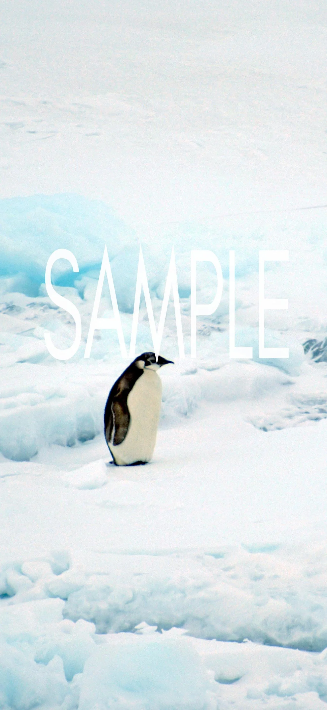 Emperor SAMPLE.jpg