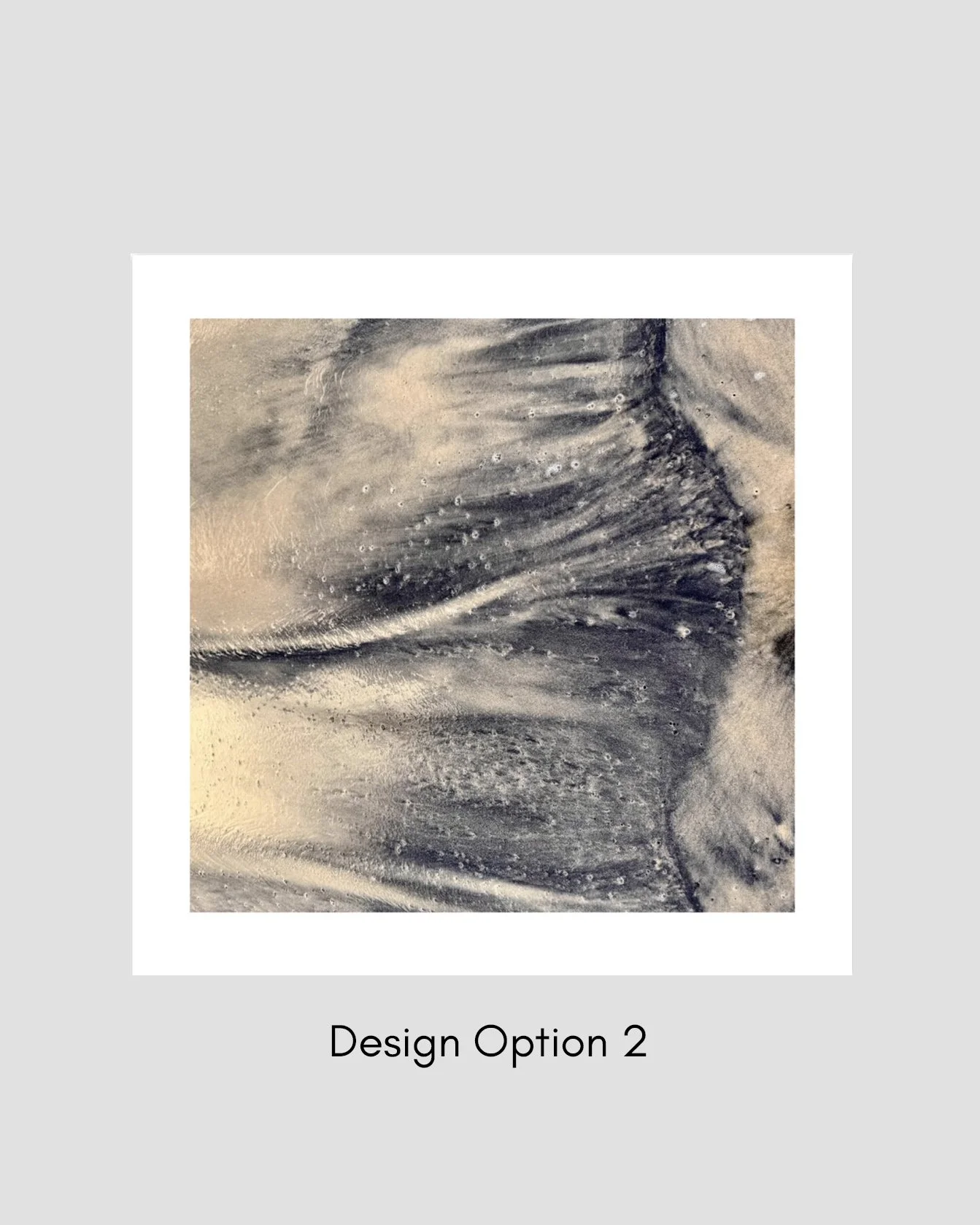 Option 2.jpg