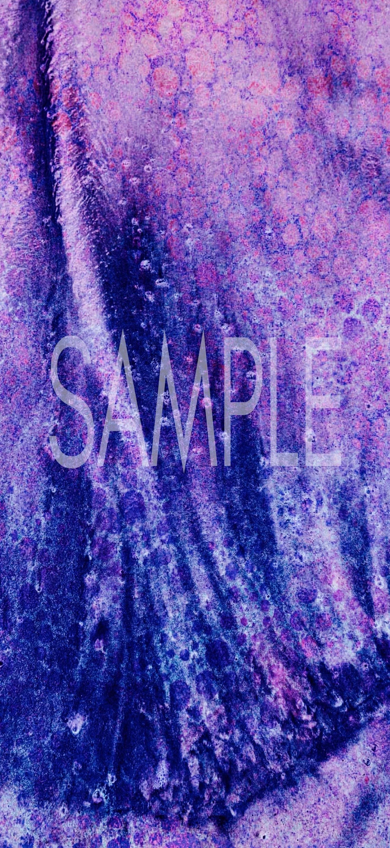 Purple SAMPLE.jpeg