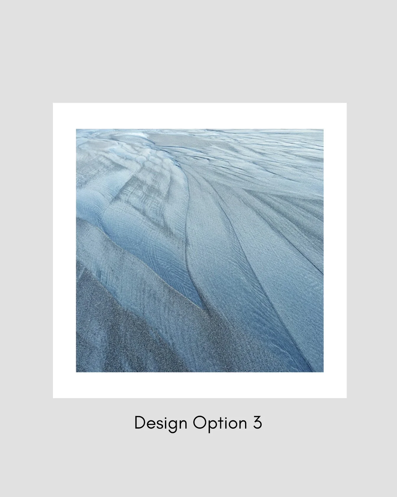 Option 3.jpg