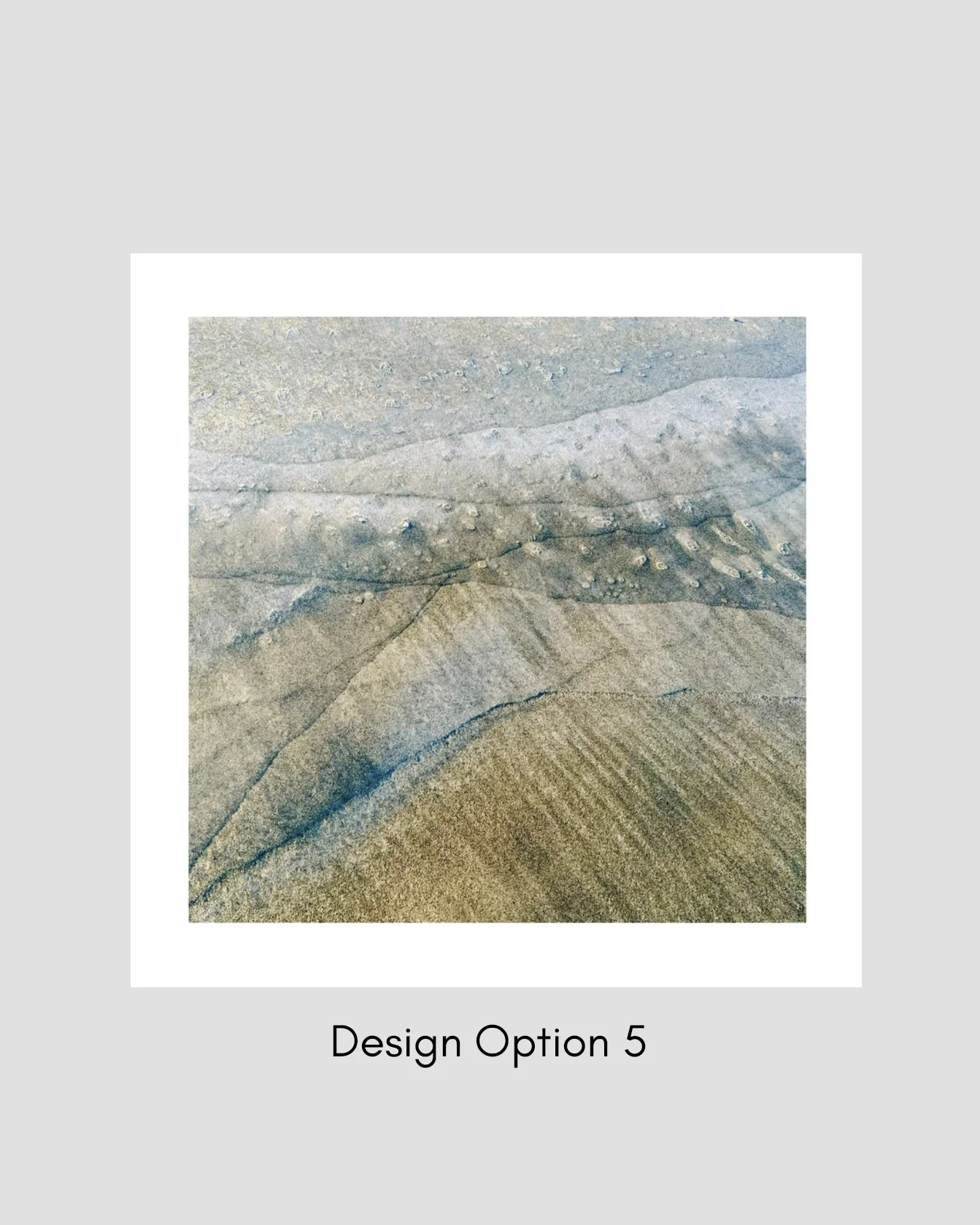 Option 5.jpg