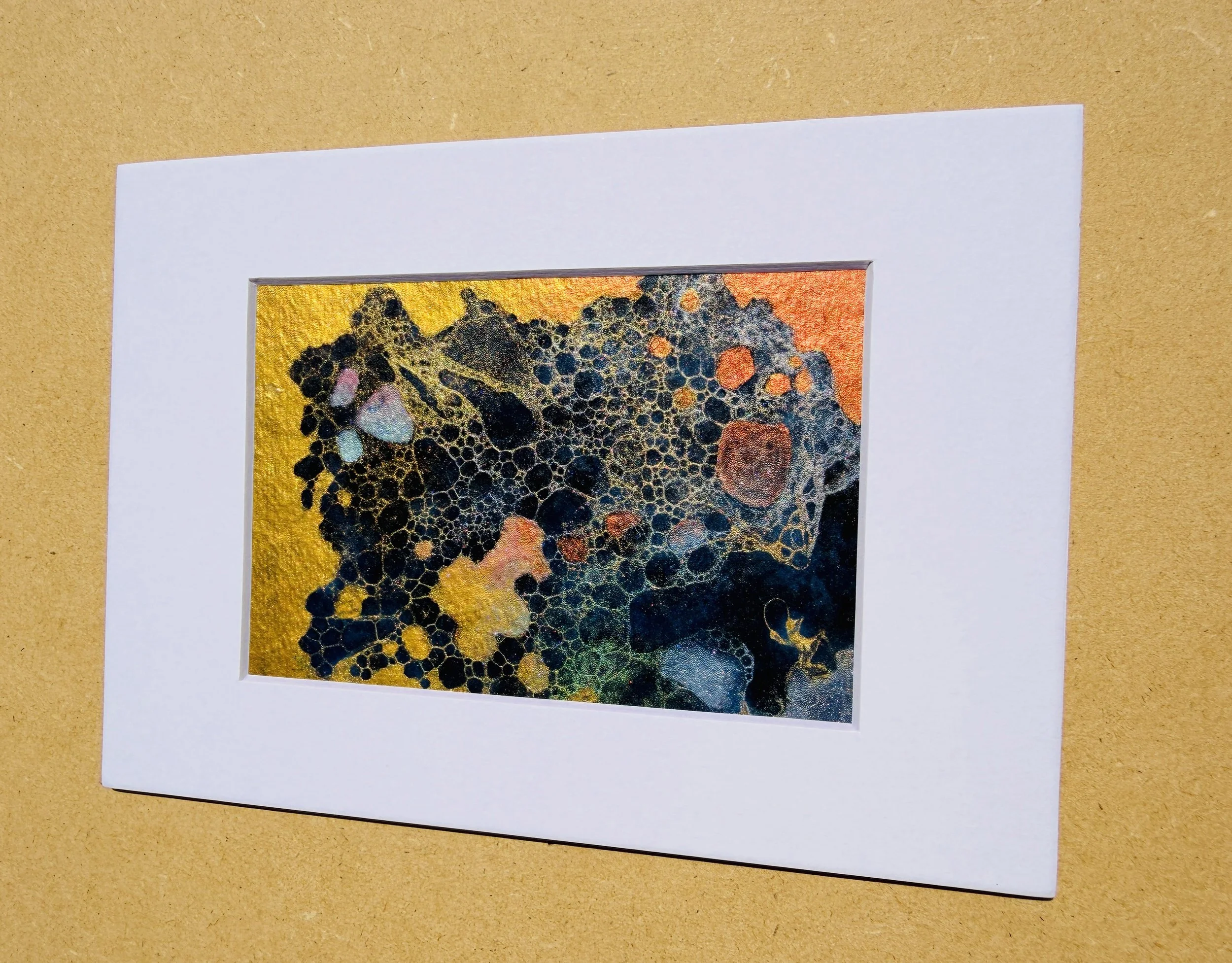IMG_6517.jpg