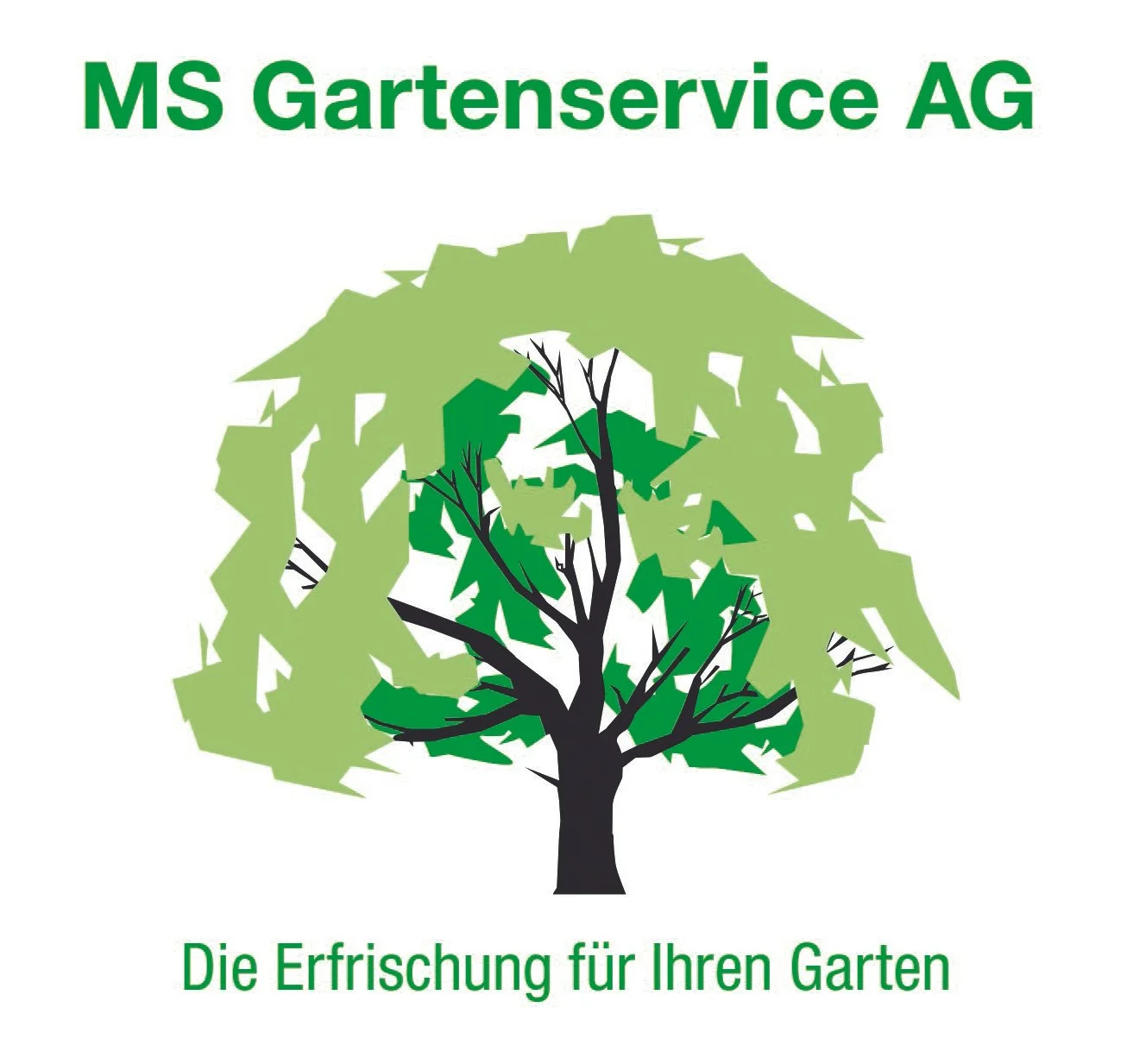 Logo von MS Gartenservice AG mit einem stilisierten Baum und grünen Blättern und Slogan "Die Erfrischung für Ihren Garten" unten.