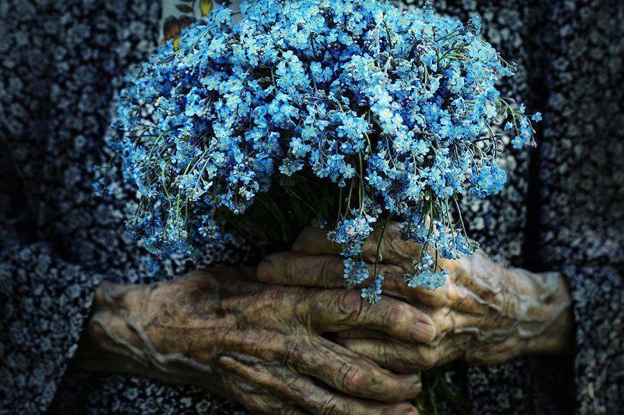 Person holding a bouquet of small blue flowers with both hands.