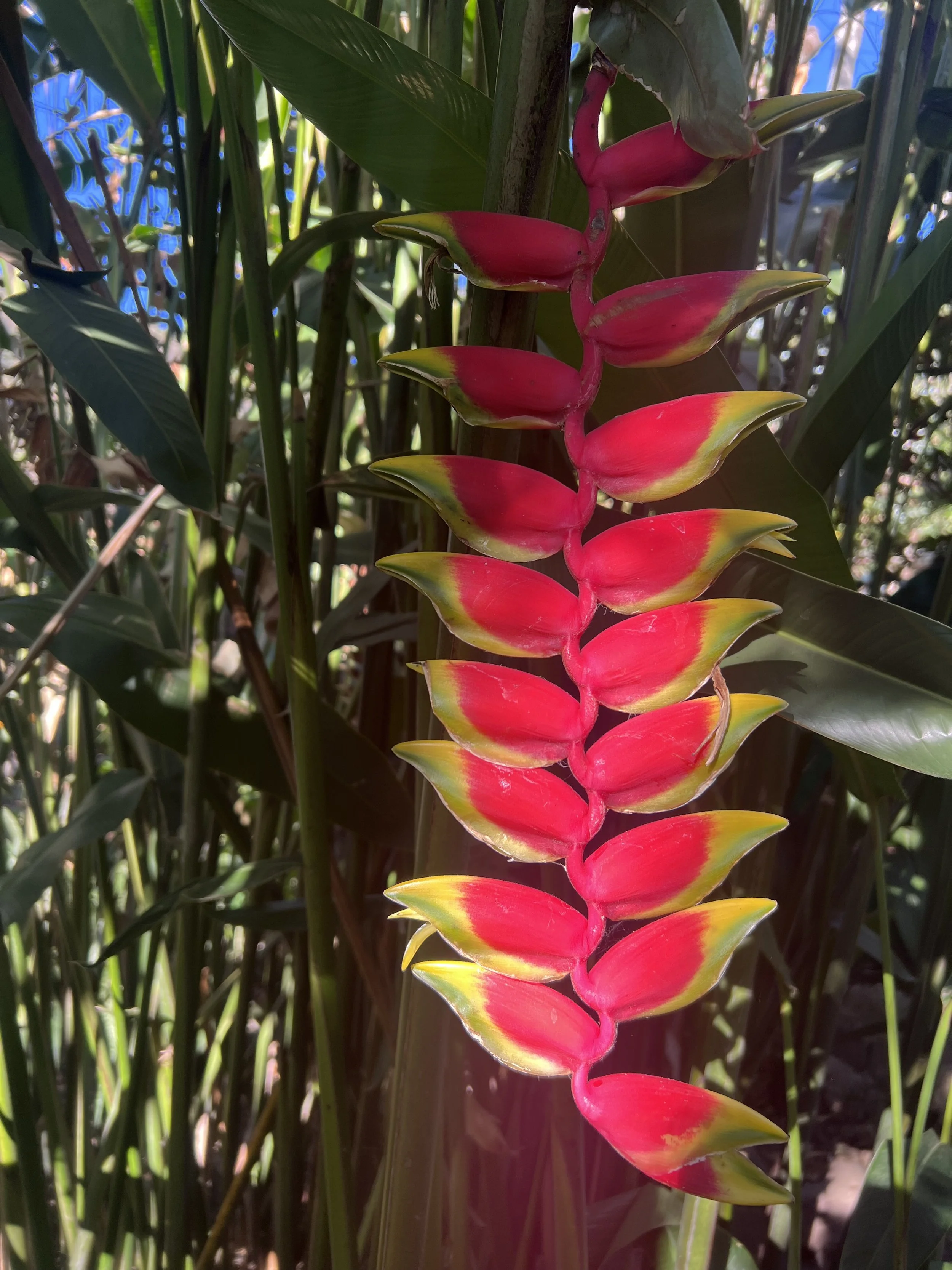 connecting with source