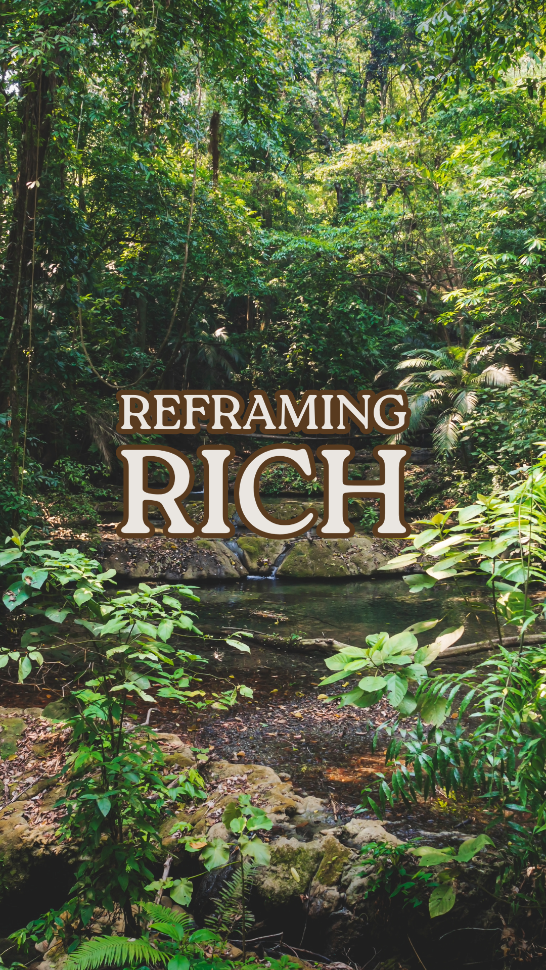 reframing rich