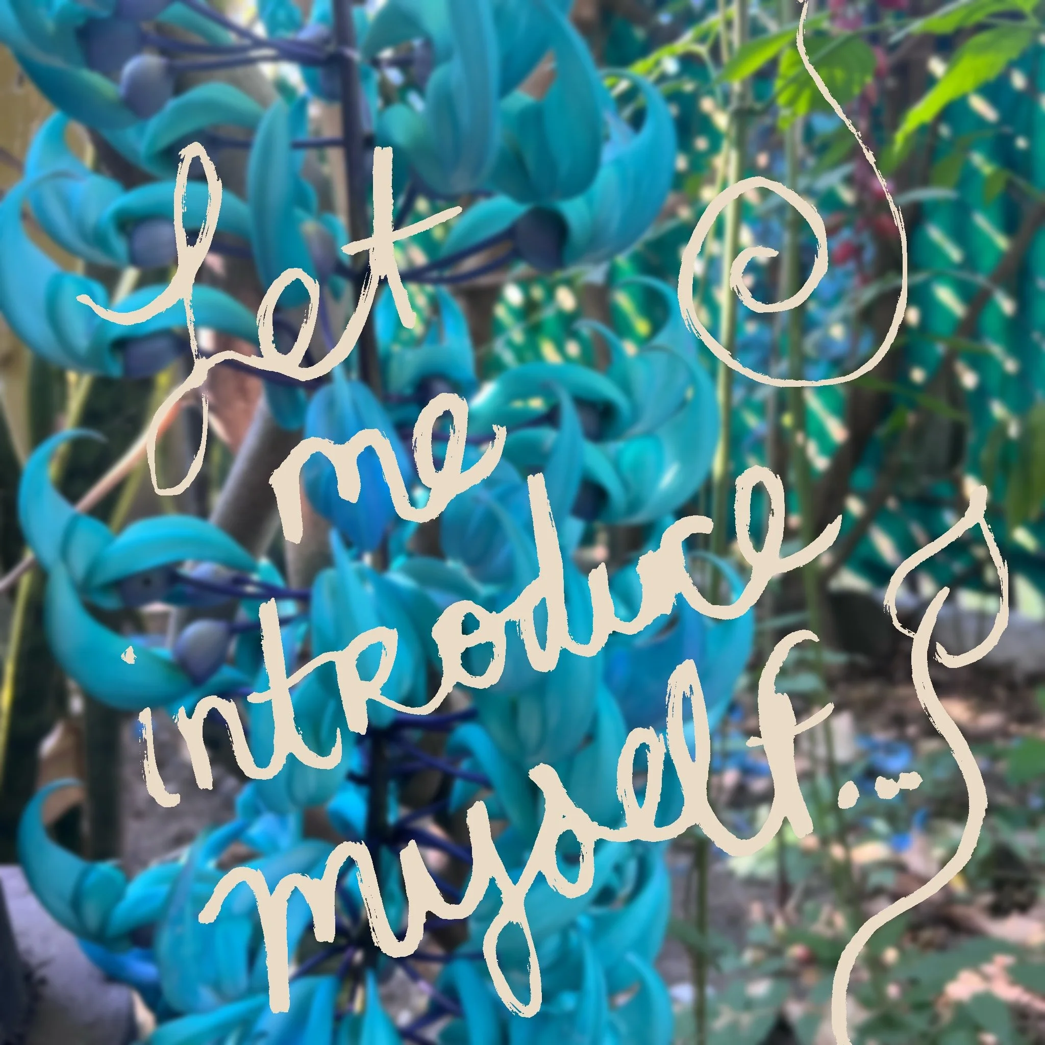 Talking to plants…