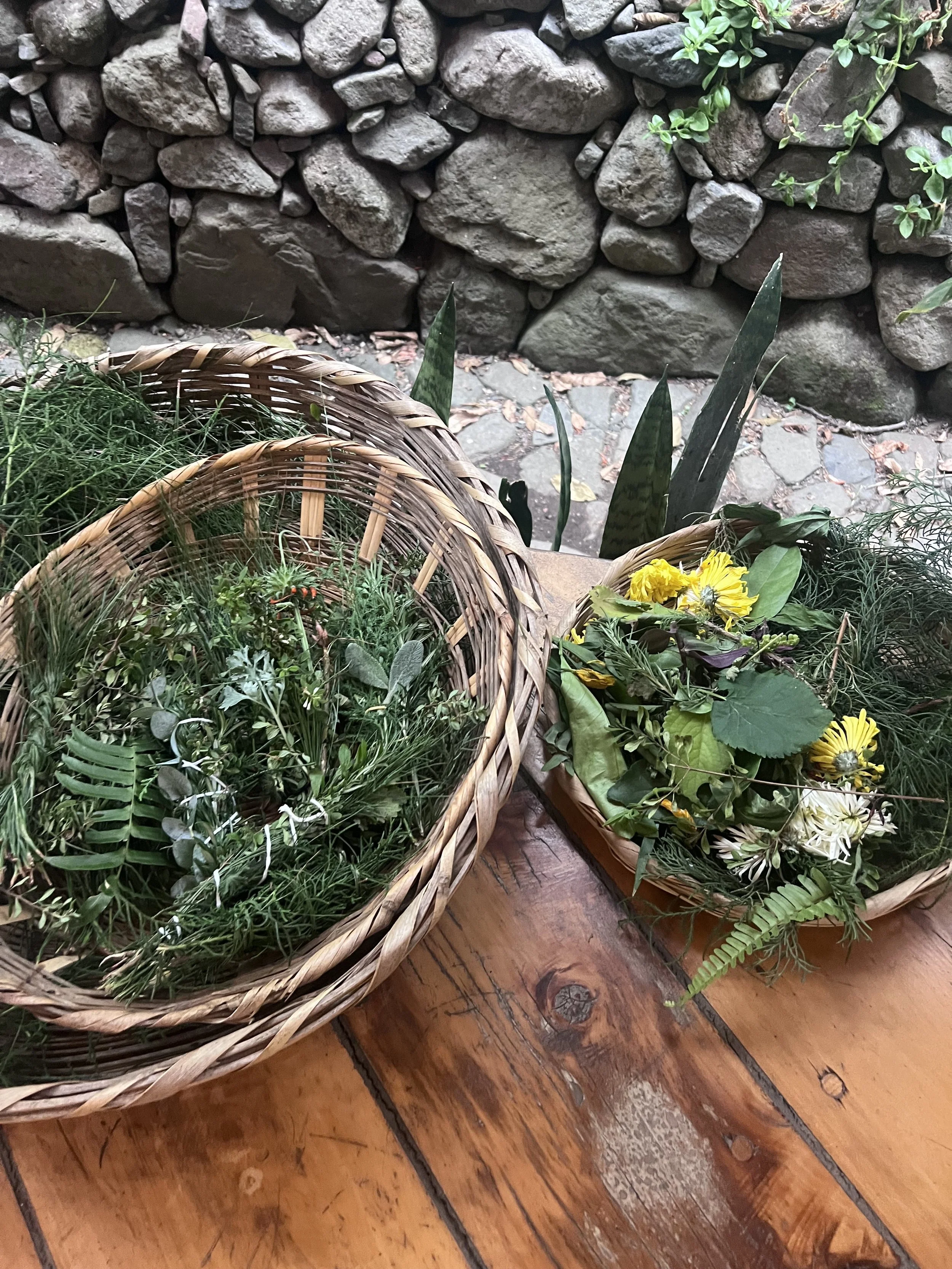 The truth about herbalism…